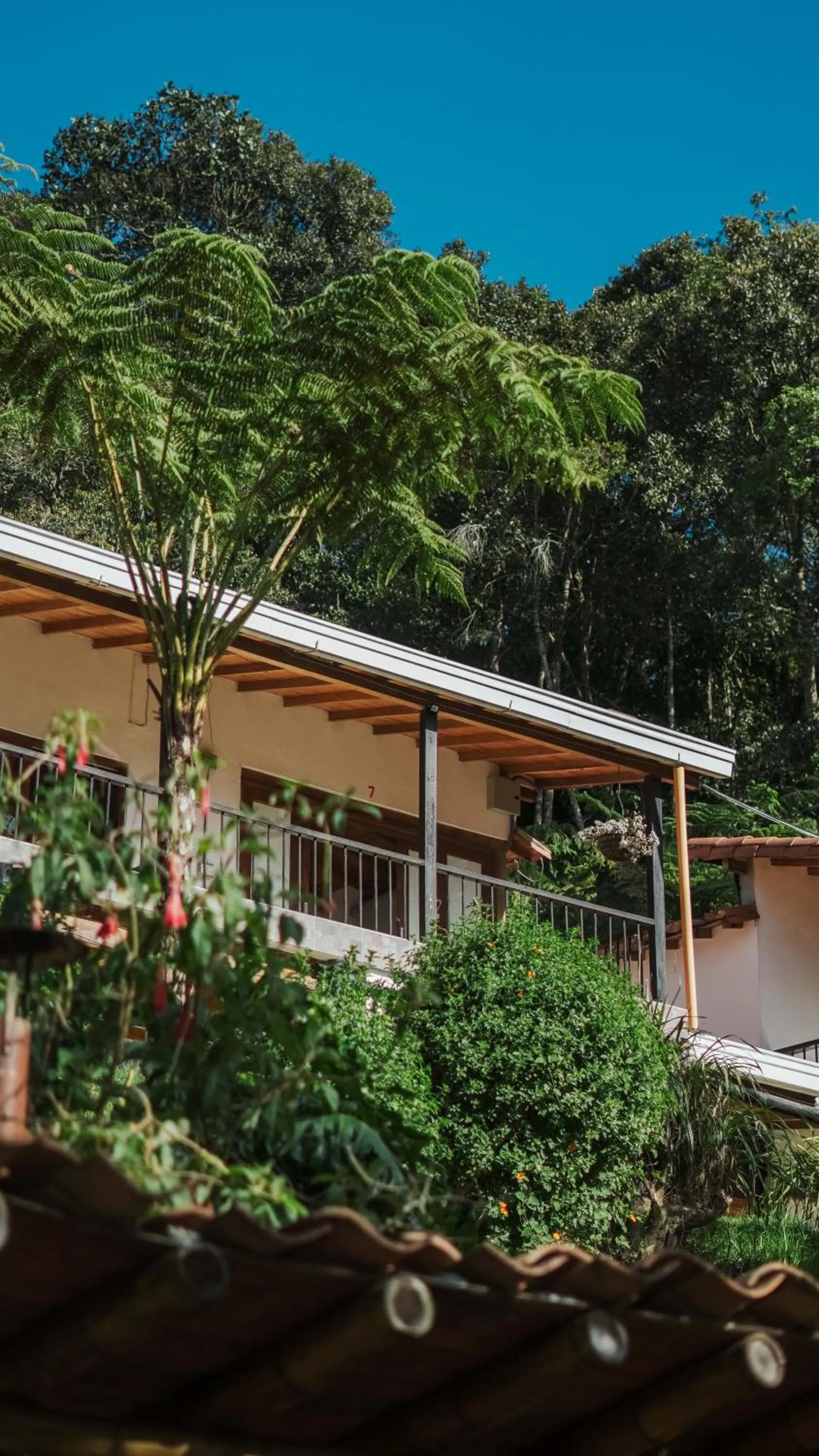 Property building in ORU CAMPESTRE