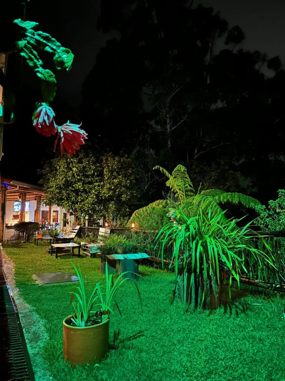 Night in ORU CAMPESTRE