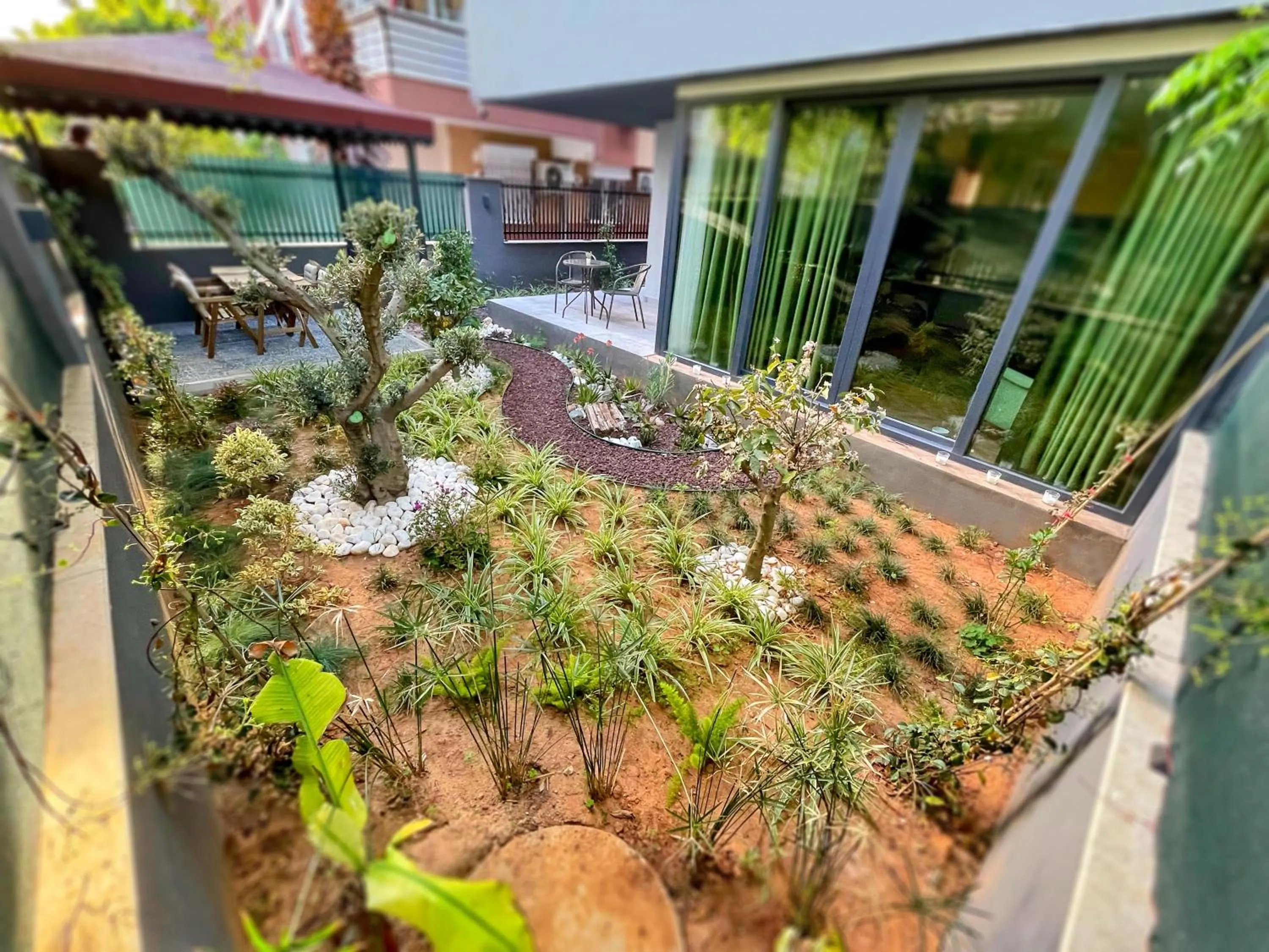 Garden in Letstay Sweet Home Mint