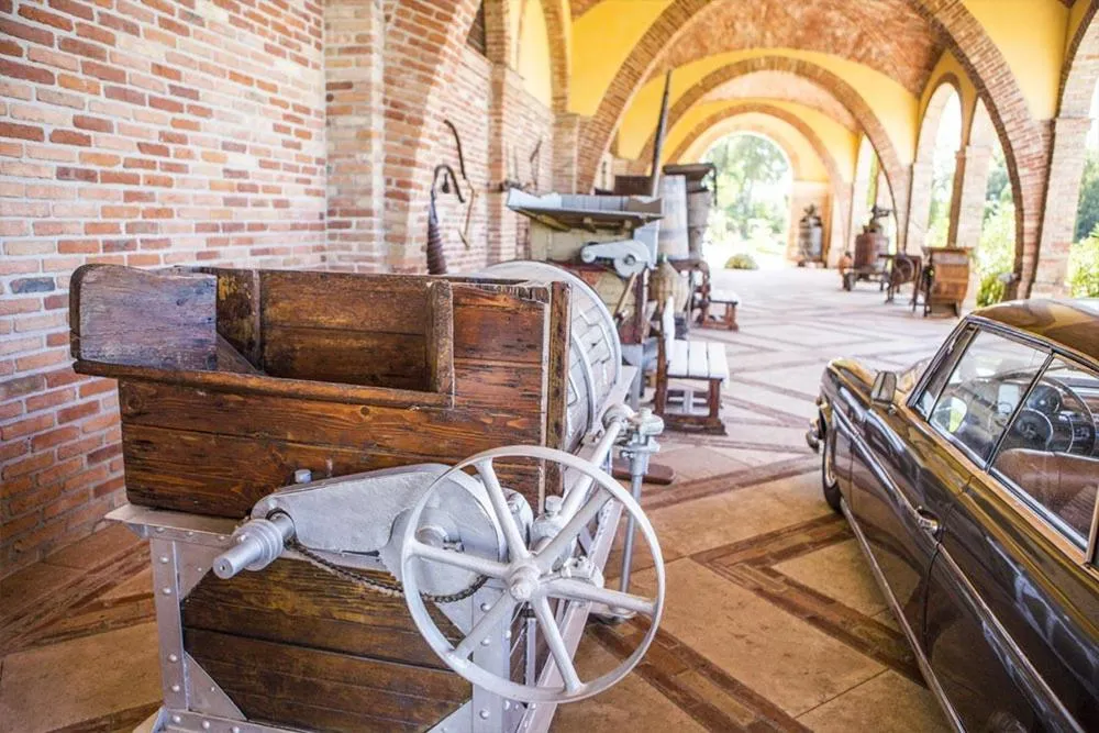 Area and facilities in Monte Tondo Winery