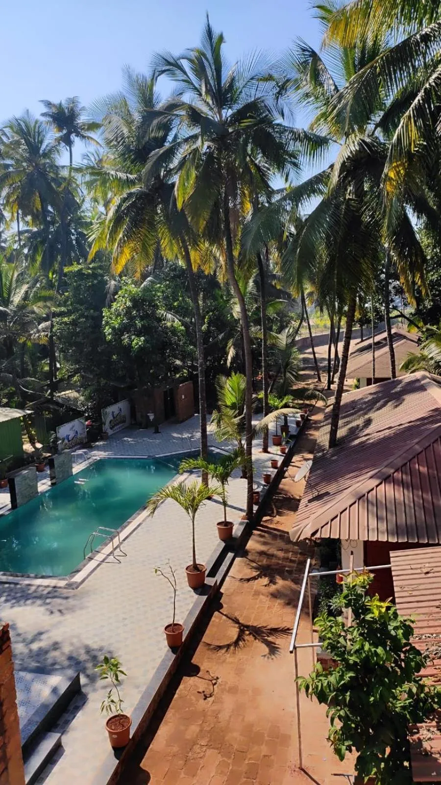 Swimming pool in Cocorico Beach Resort
