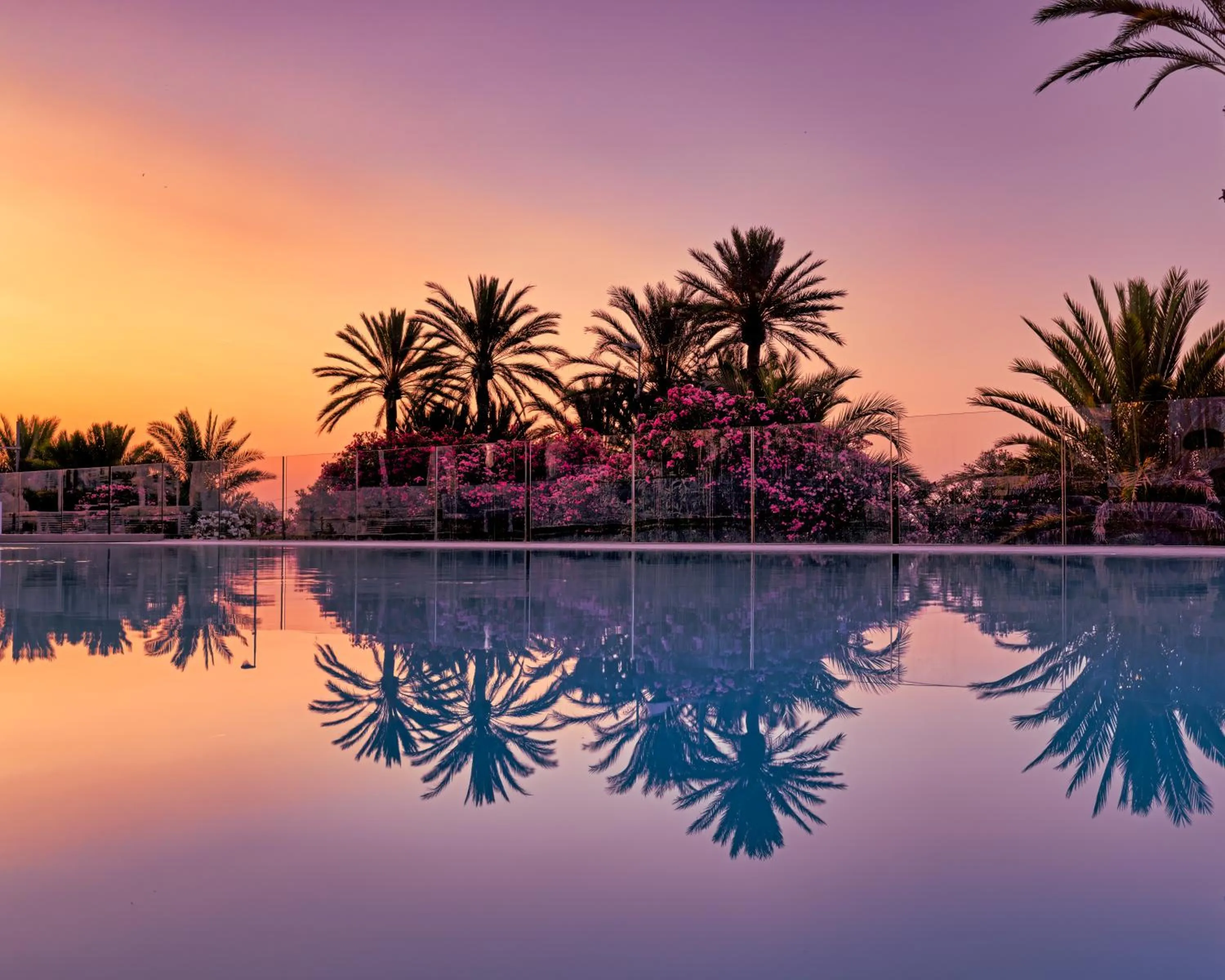 Swimming pool in Miramare The Palace Resort