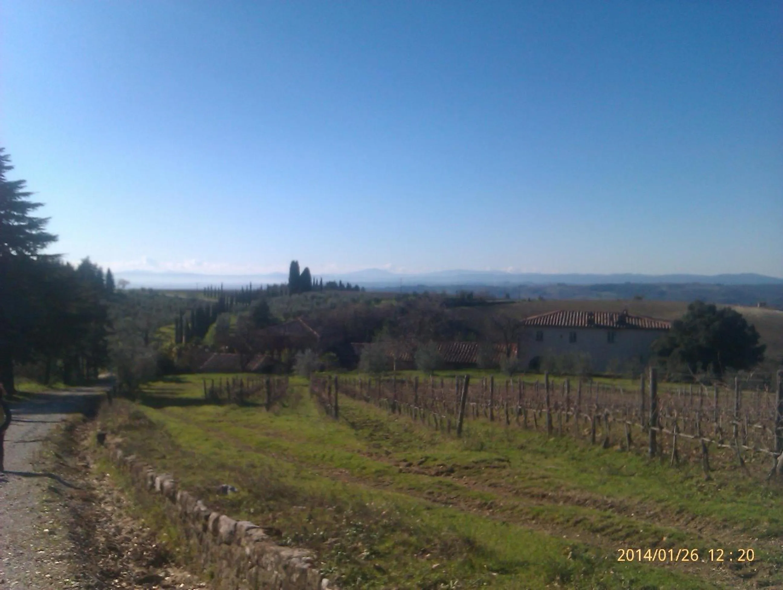 Horse-riding in 1000 Miglia