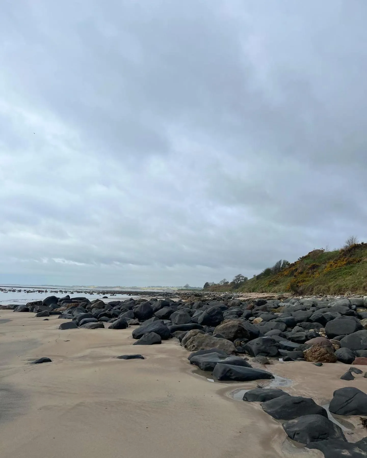 Beach in The Red Lion Inn Alnmouth
