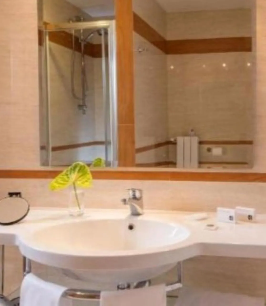 Bathroom in Best Western Hotel Viterbo