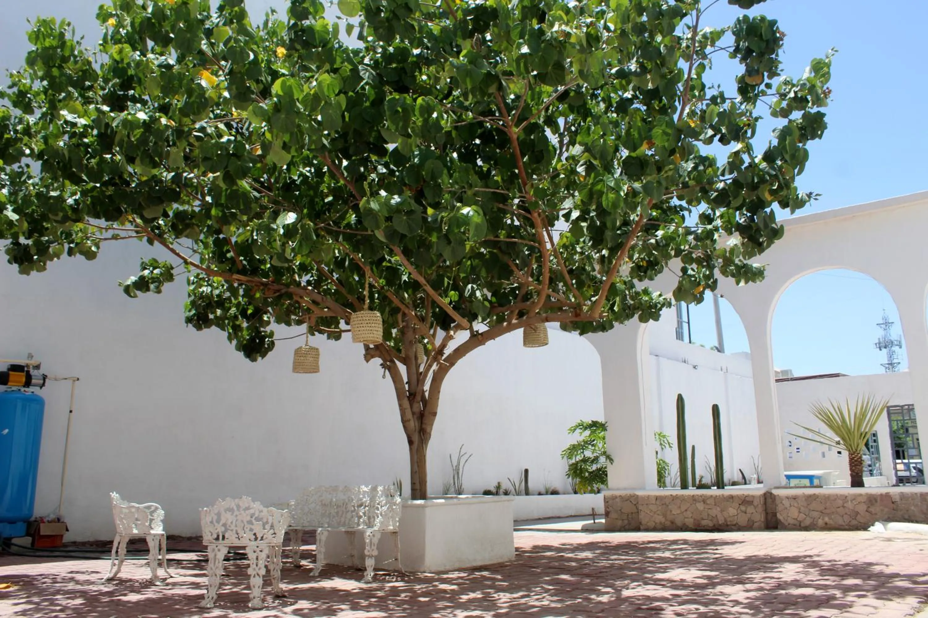 Patio in Hotel Casa Hidalgo, Torreón