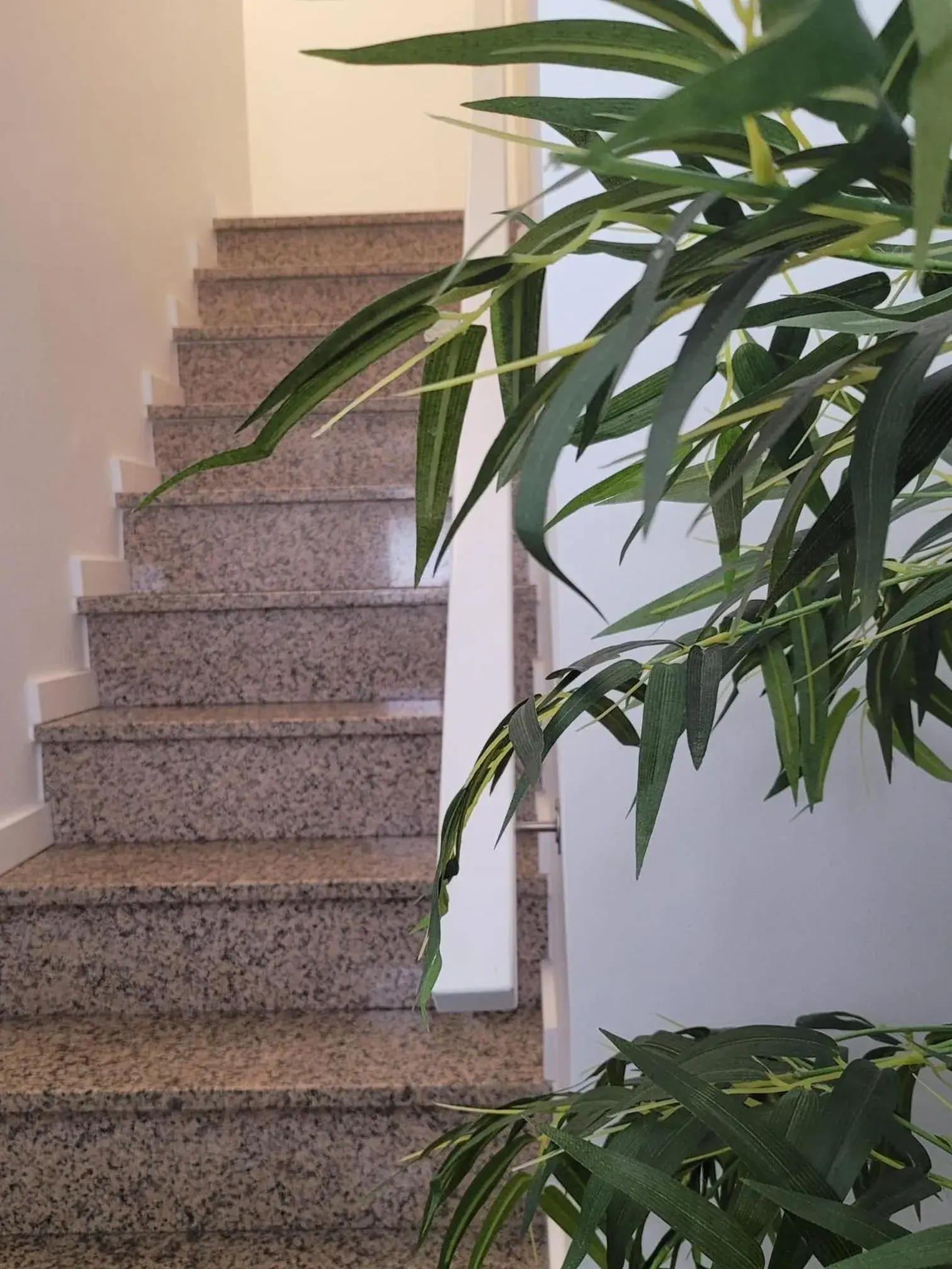 Double Room with Private Bathroom in Alojamento Local Vitoria Double Room with Private Bathroom in Alojamento Local Vitoria