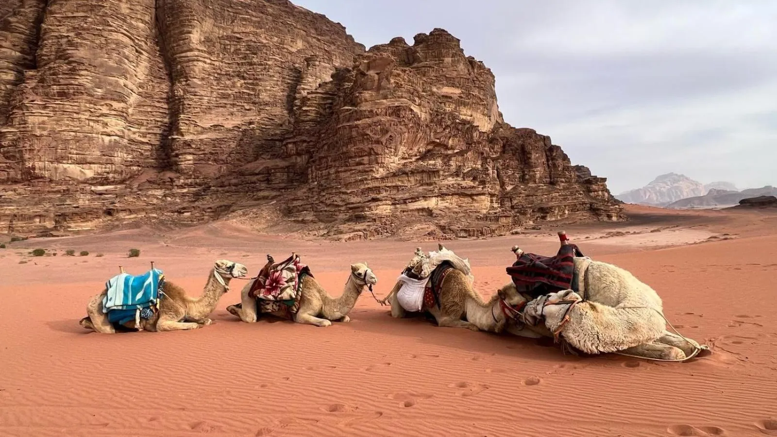 Natural landscape in Jabal Rum Camp
