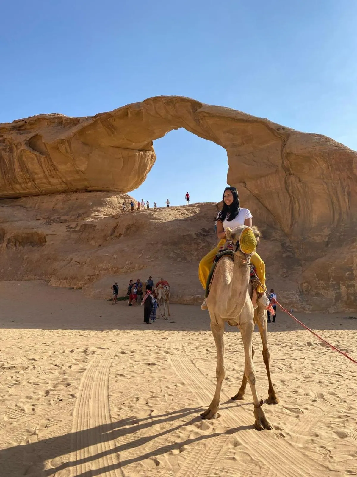 Animals in Jabal Rum Camp