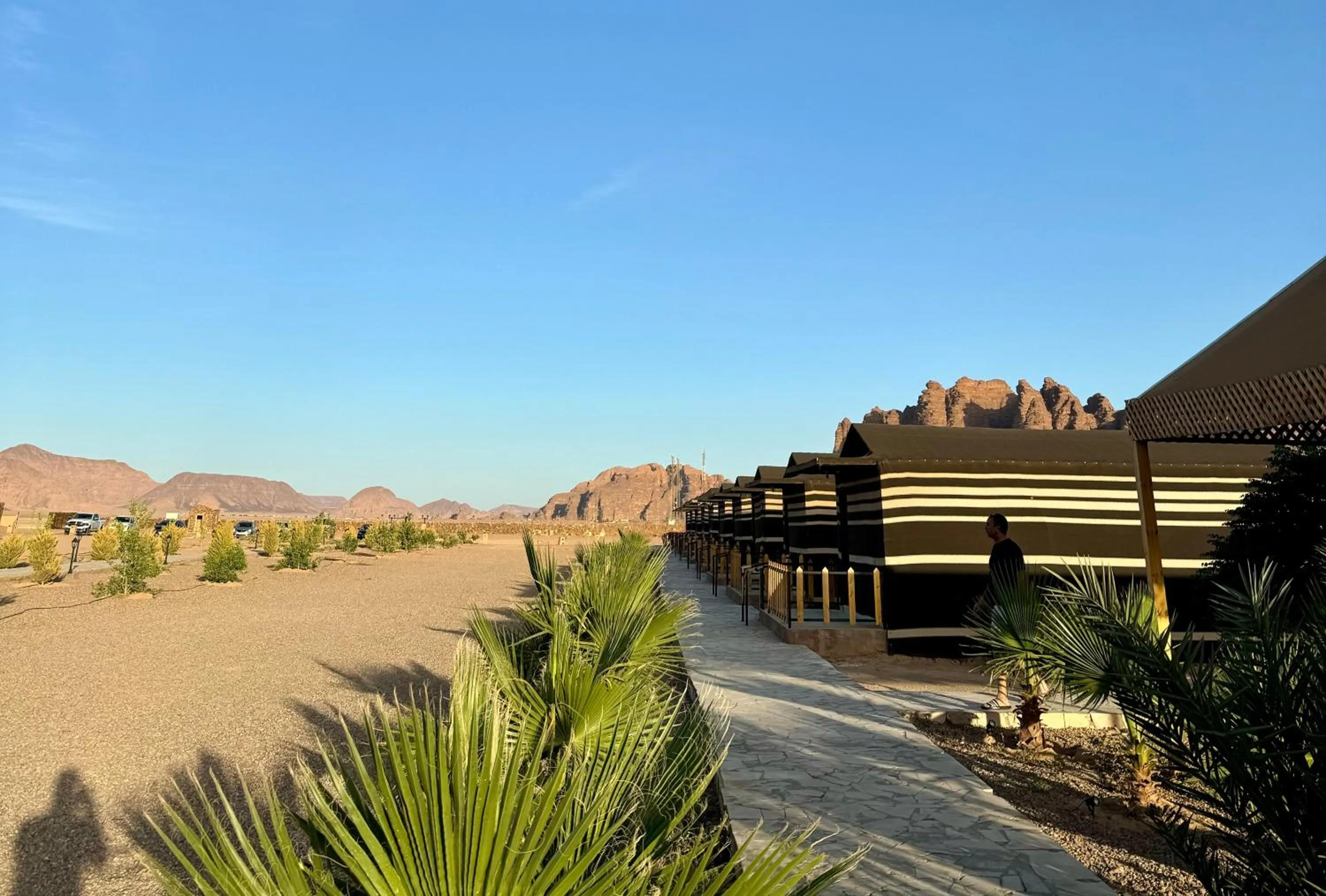 Day in Jabal Rum Camp