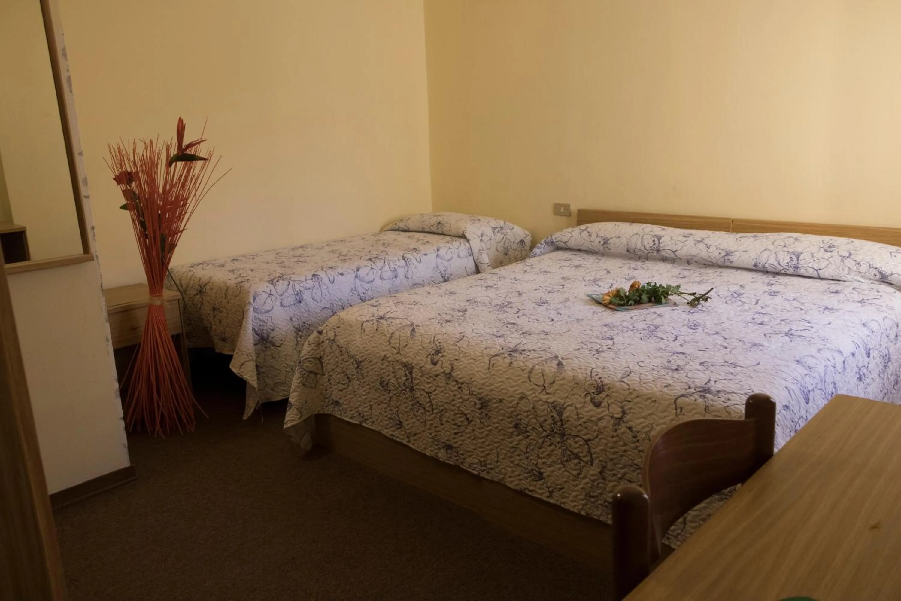 Photo of the whole room in Hotel Primavera