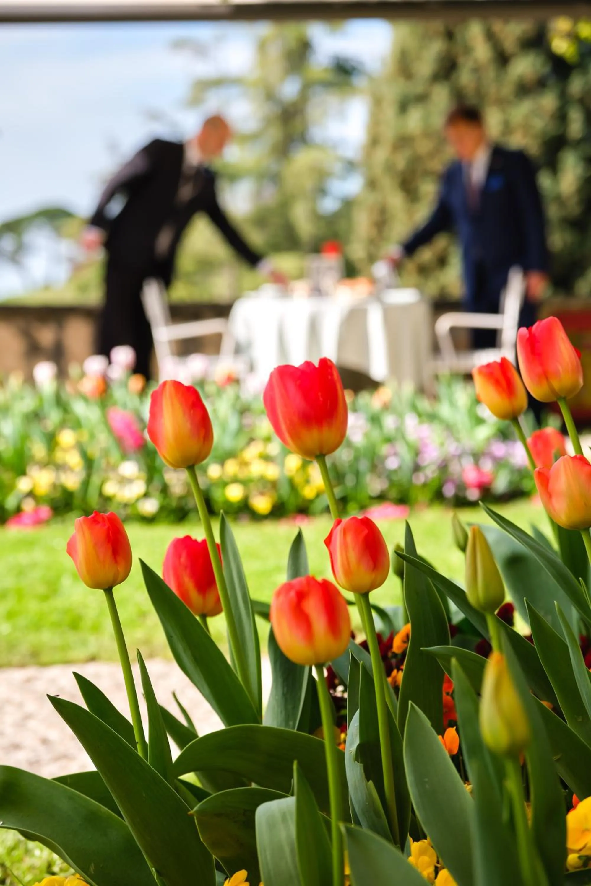 Garden view in Hotel Villa Cipriani