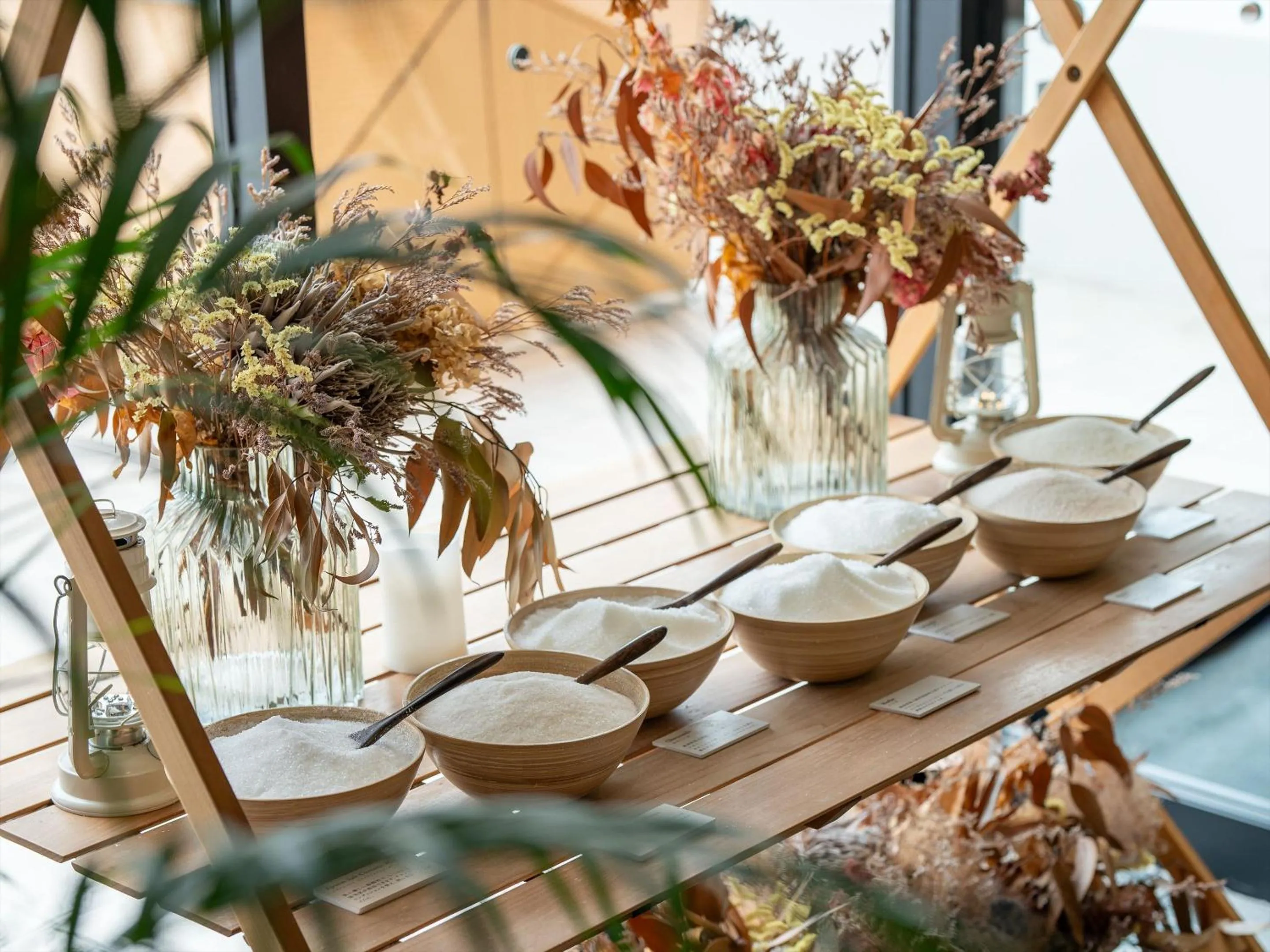 Area and facilities in AQUASENSE Hotel & Resort