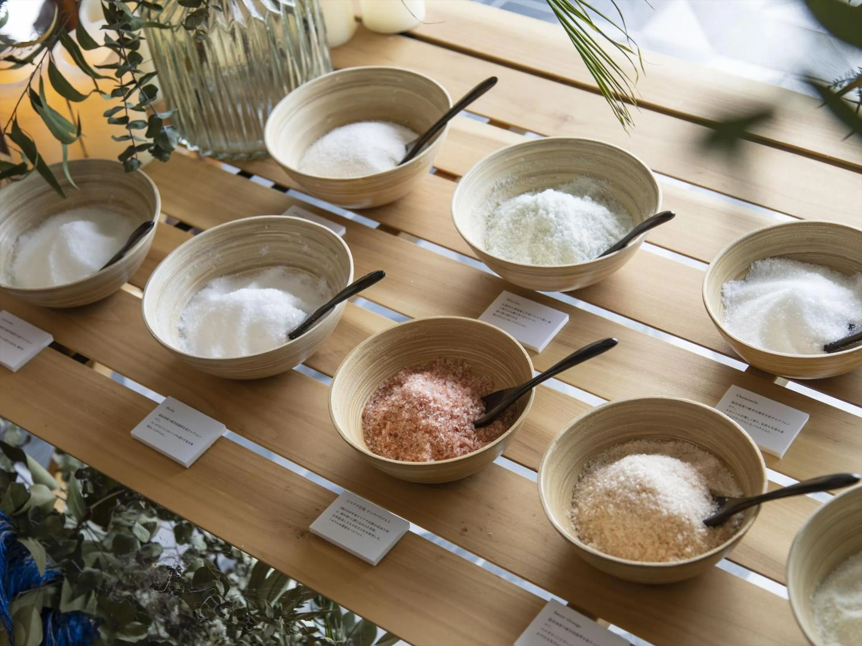 Area and facilities in AQUASENSE Hotel & Resort