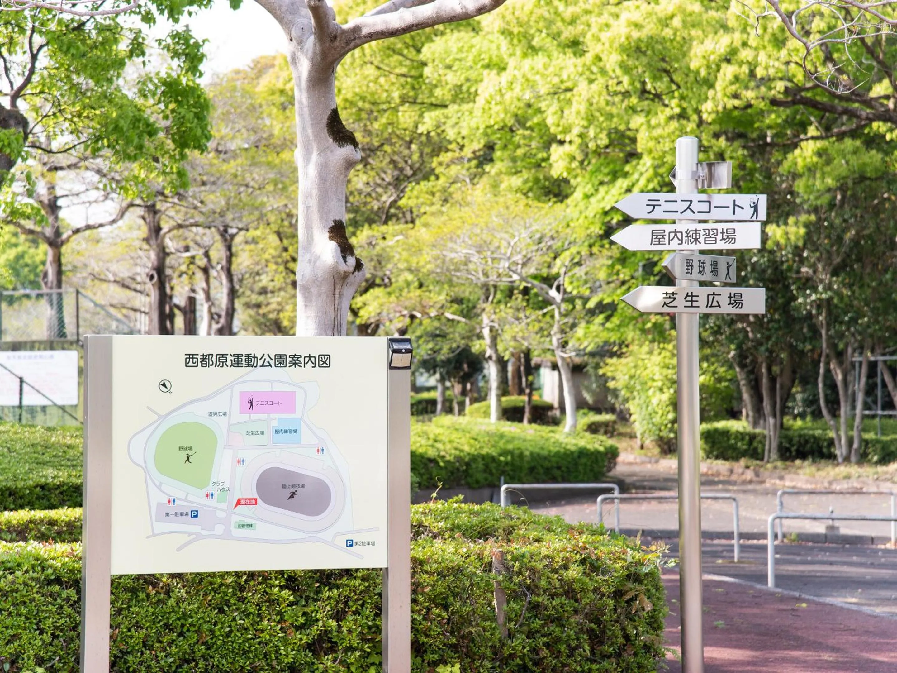 Nearby landmark in Hotel Primrose Saito