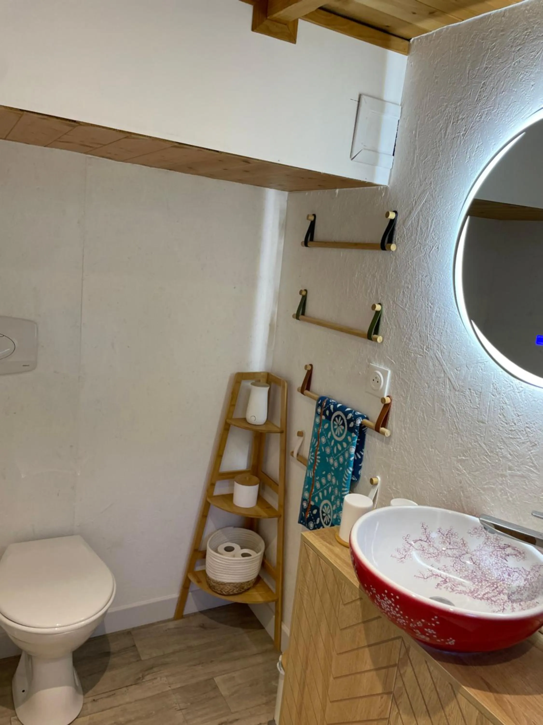 Toilet in Péniche Le Pescalune - Chambre d'hôtes