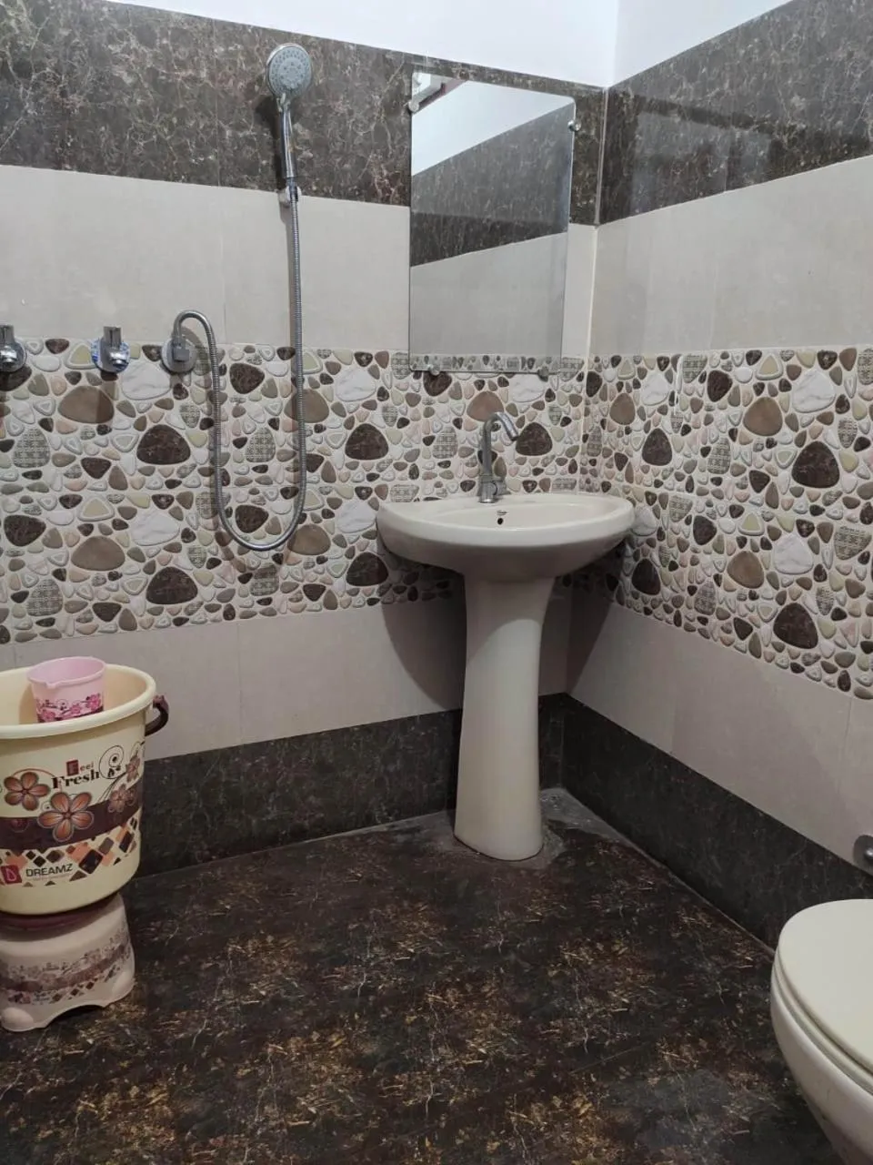 Toilet in Roop Niwas