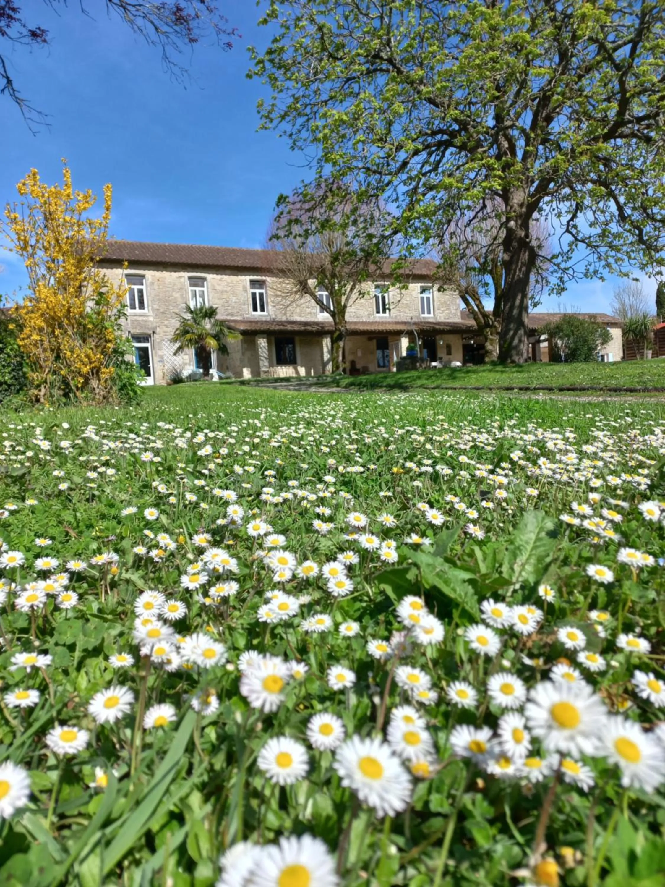 Property building in Domaine de Fontsauzine - gîtes et chambre d'hôtes