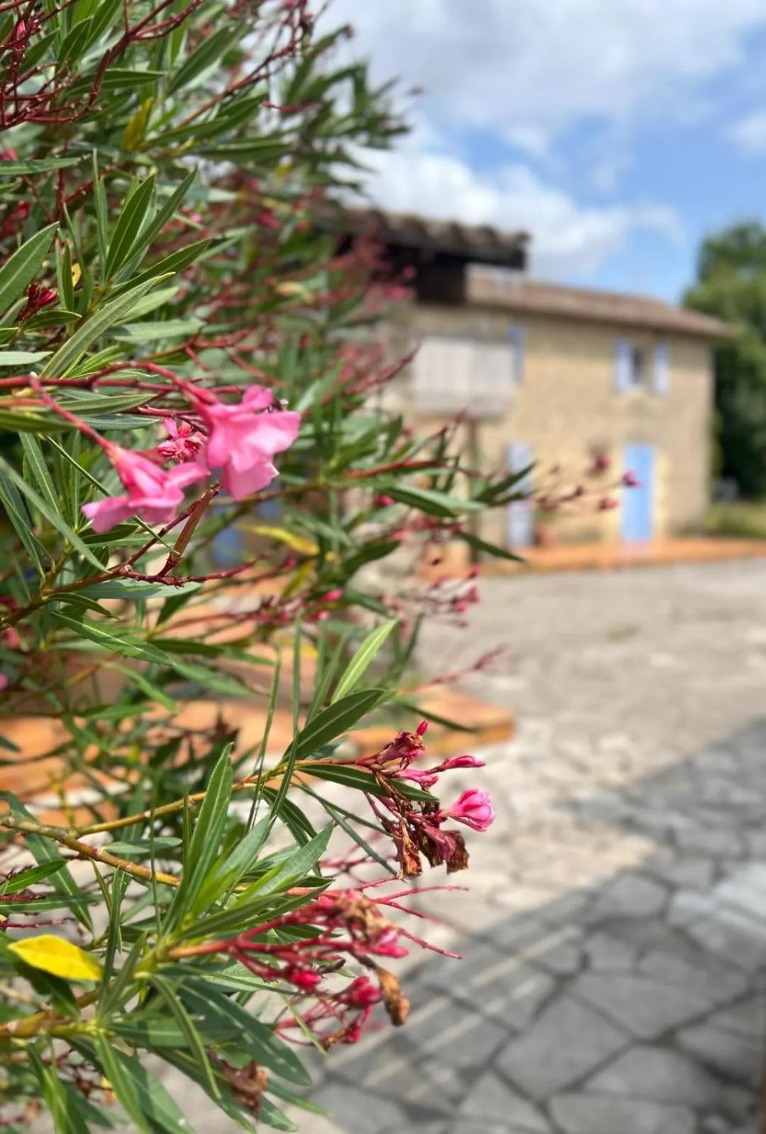 Patio in Domaine de Fontsauzine - gîtes et chambre d'hôtes