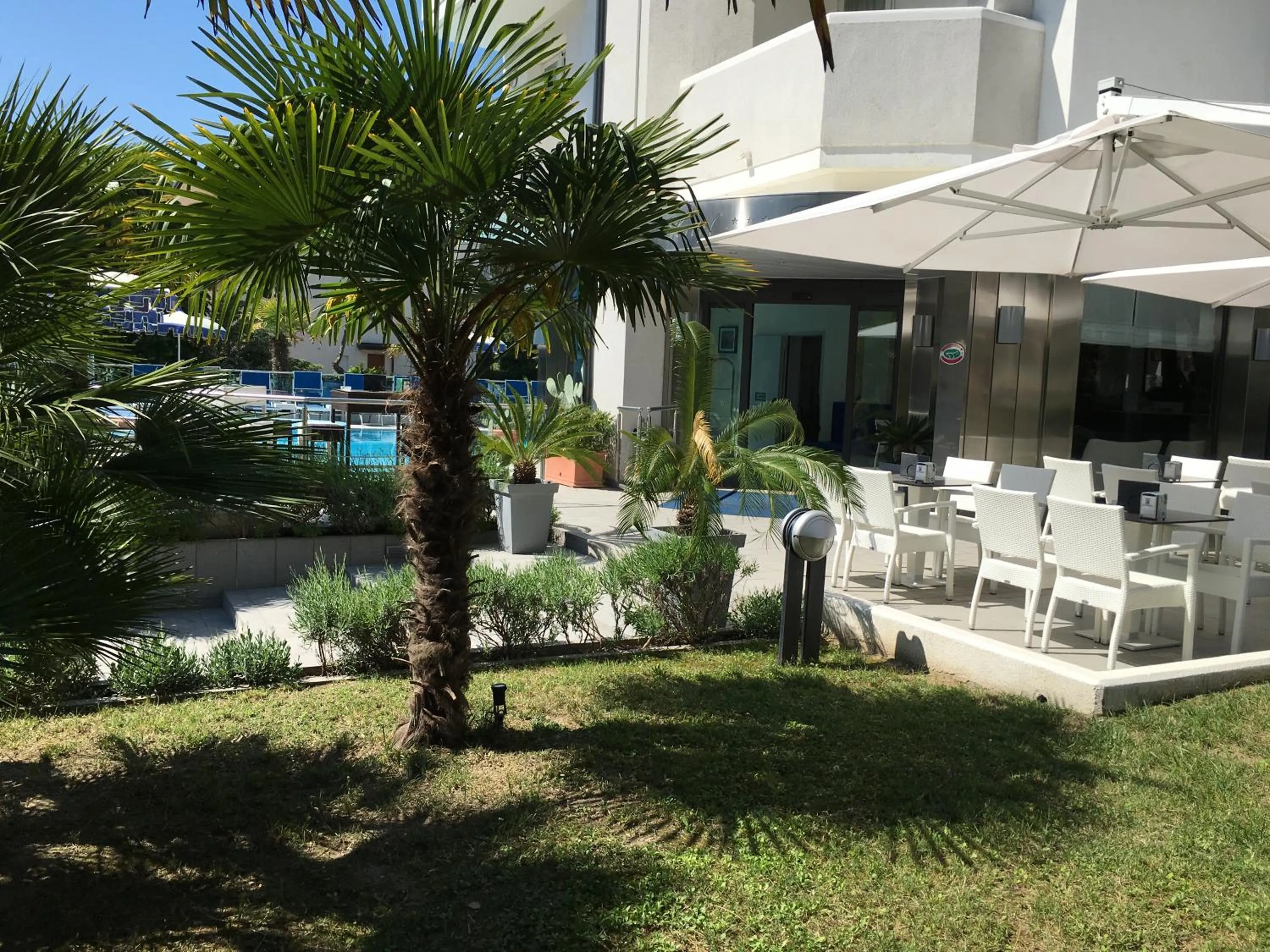 Garden in Hotel Bellevue