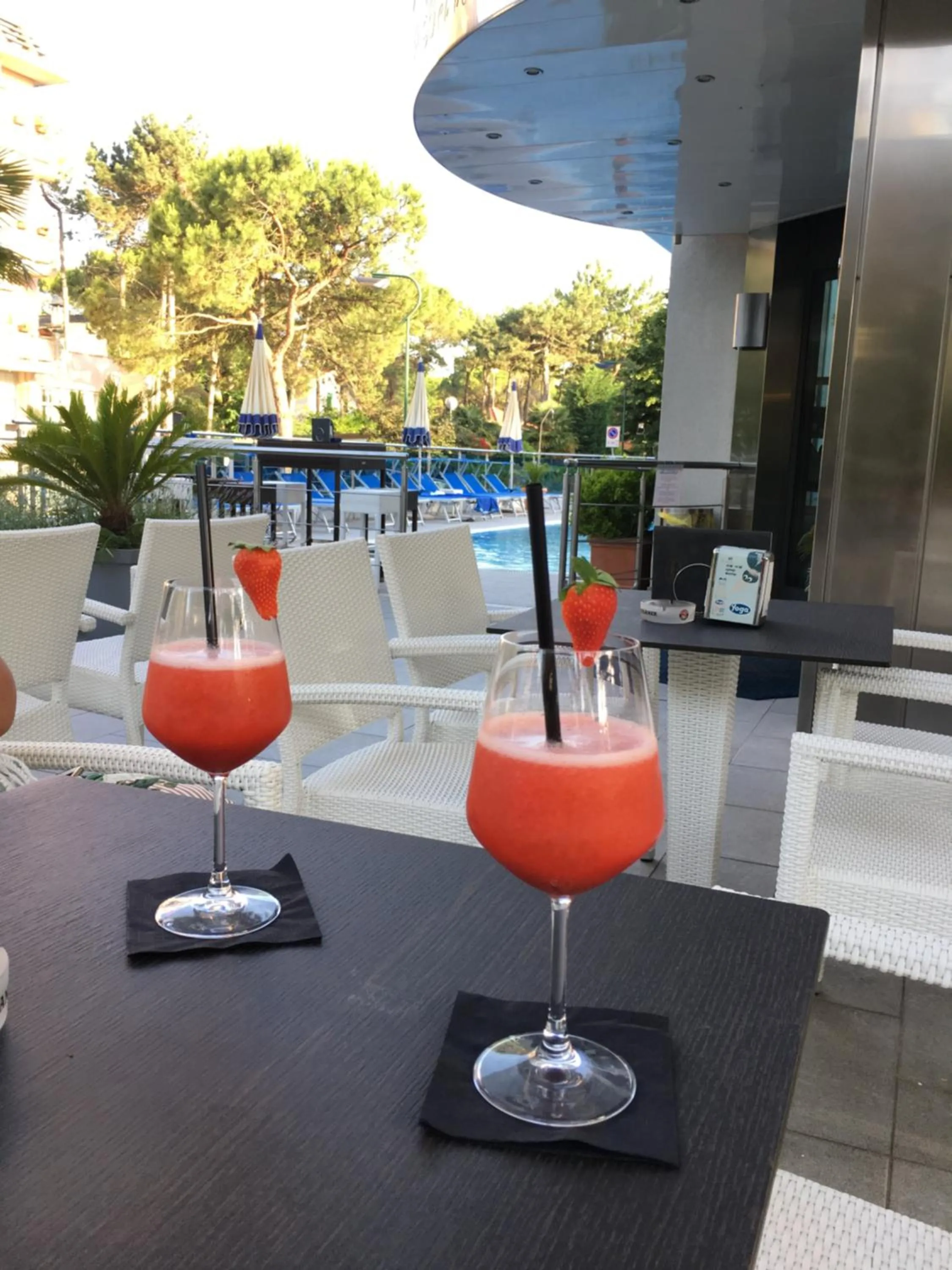 Garden in Hotel Bellevue