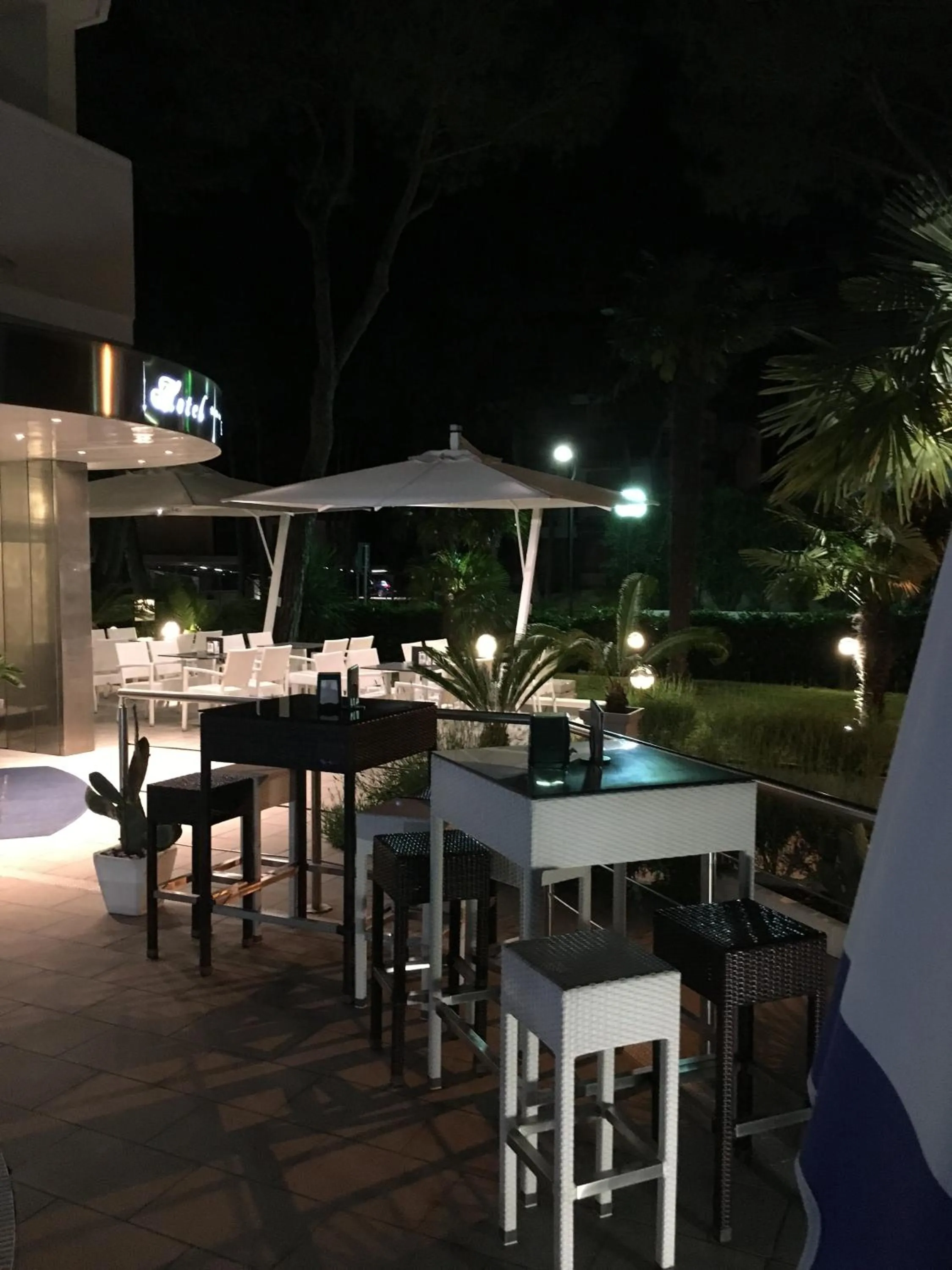 Garden in Hotel Bellevue