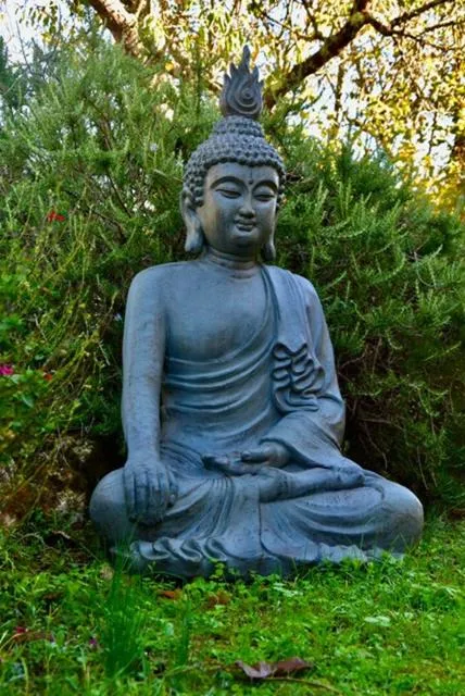 Chambre d'hôtes L'altitude - Domaine la Rose des vents