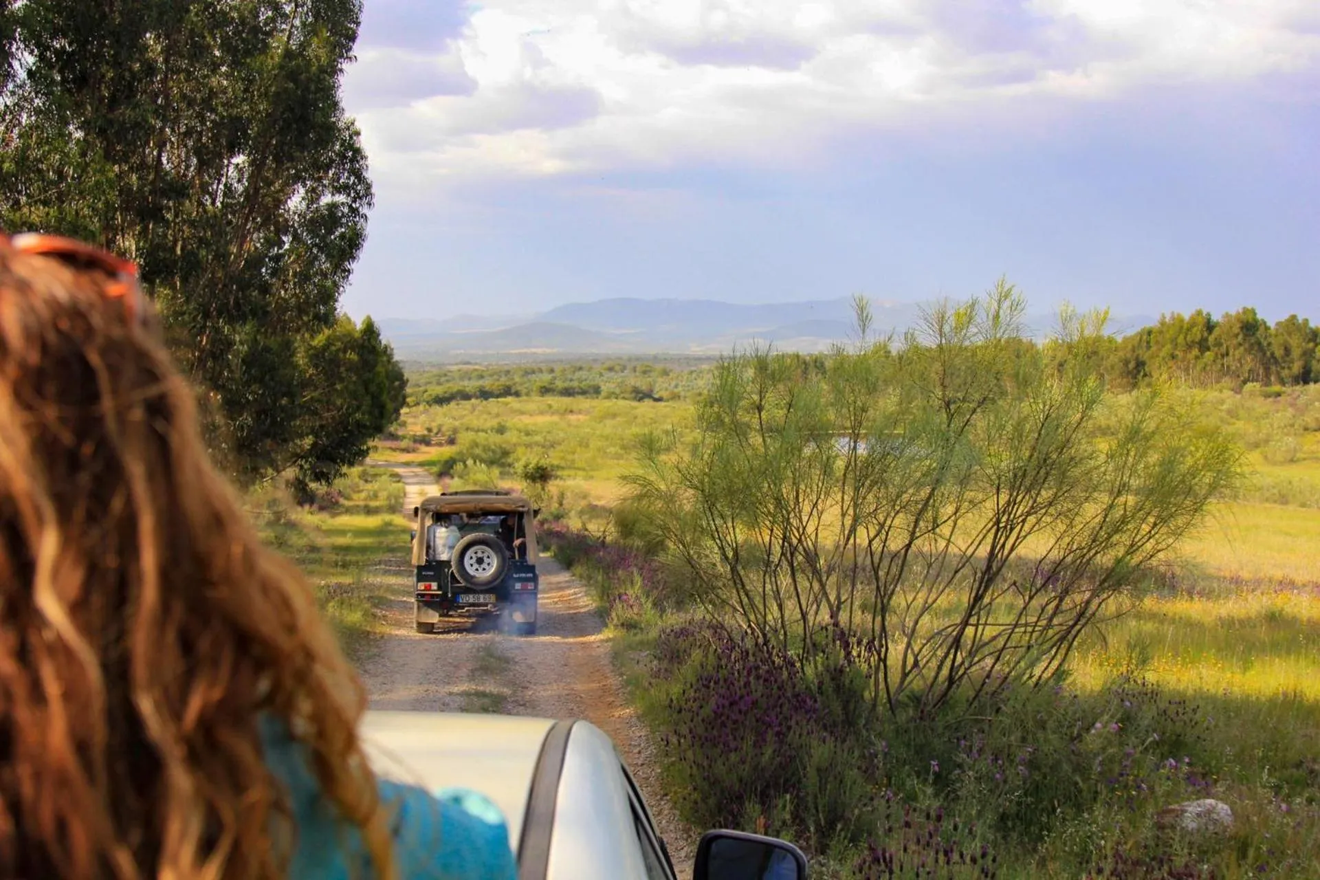 Natural landscape in Herdade dos Abegões