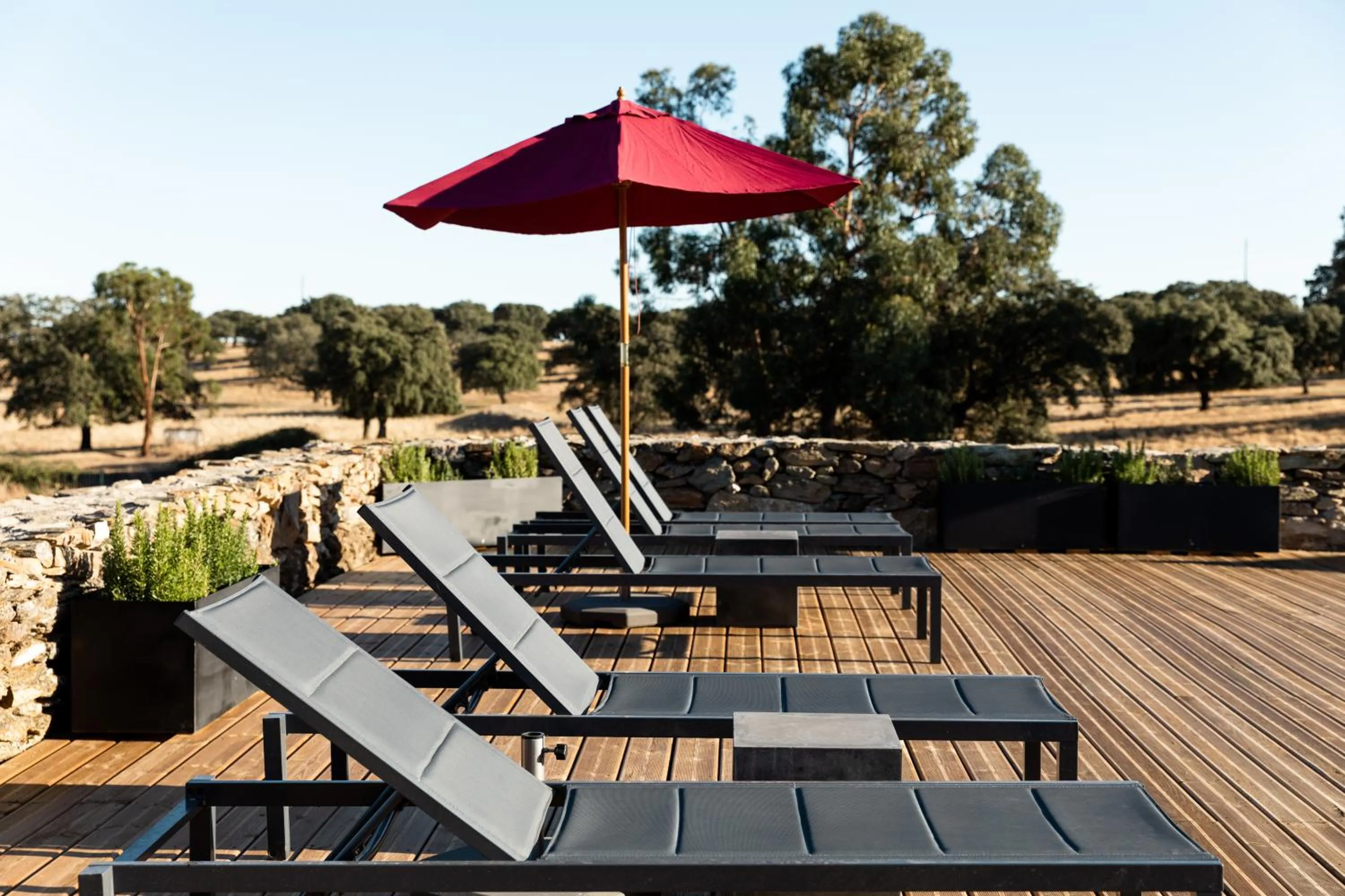 Swimming pool in Herdade dos Abegões