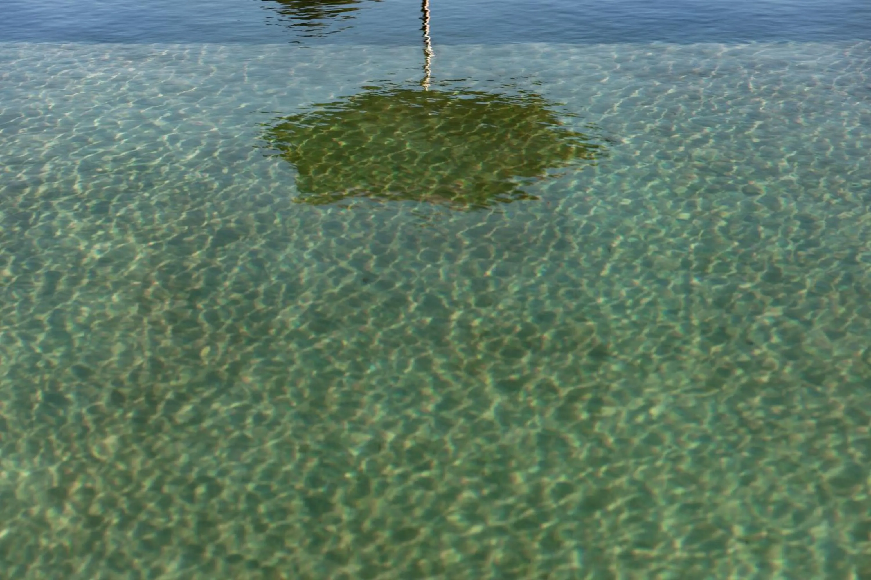 Swimming pool in Herdade dos Abegões