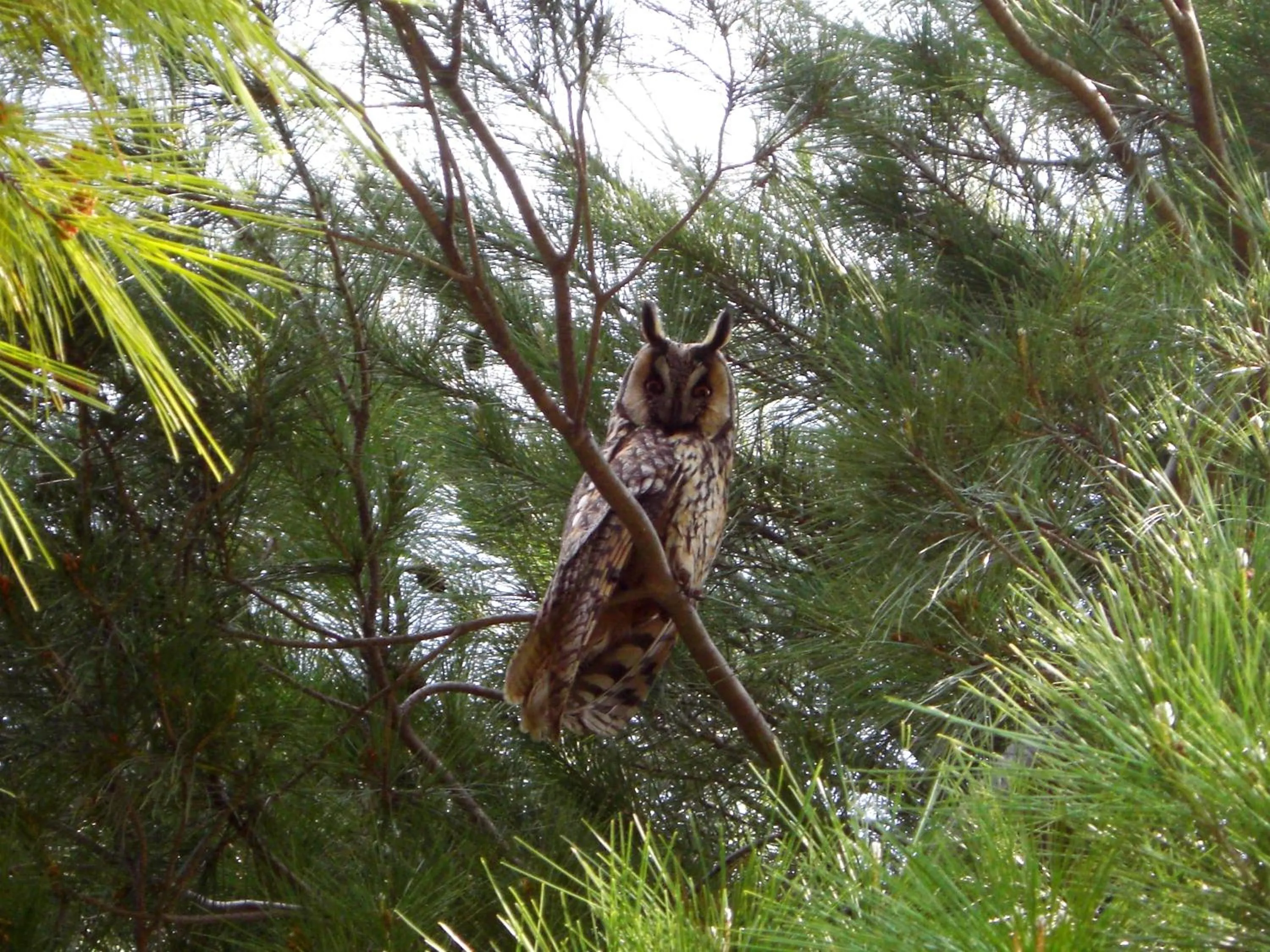 Garden in Holiday Residence