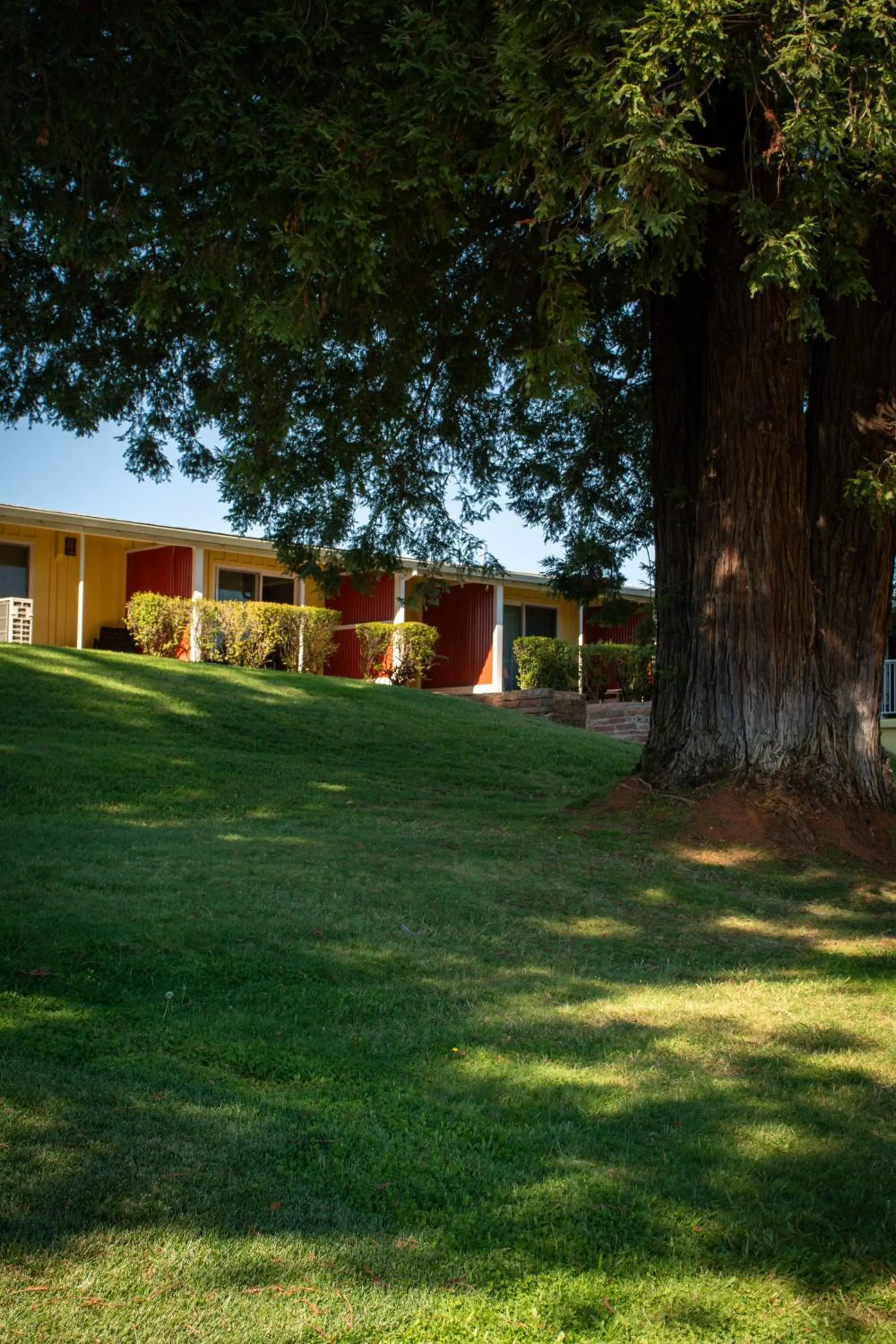 Property building in Foothills Motel