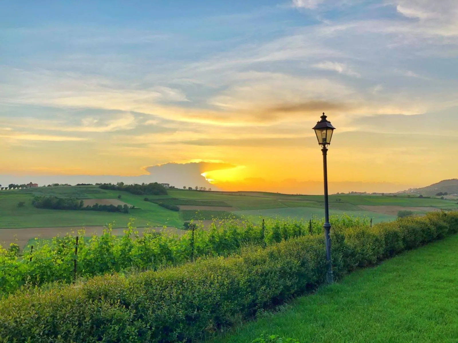 Garden in Relais Castello di Razzano
