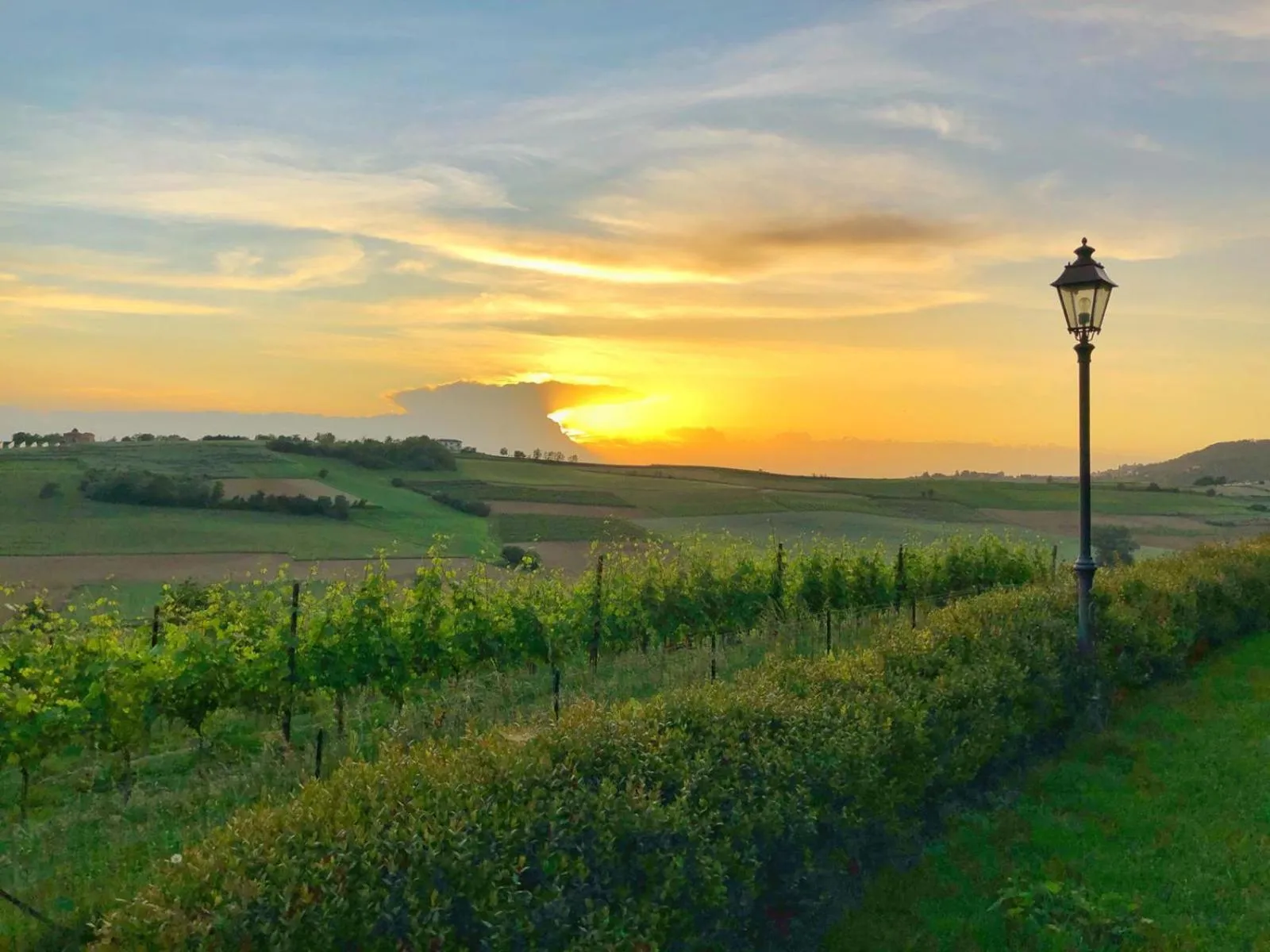 Garden view in Relais Castello di Razzano