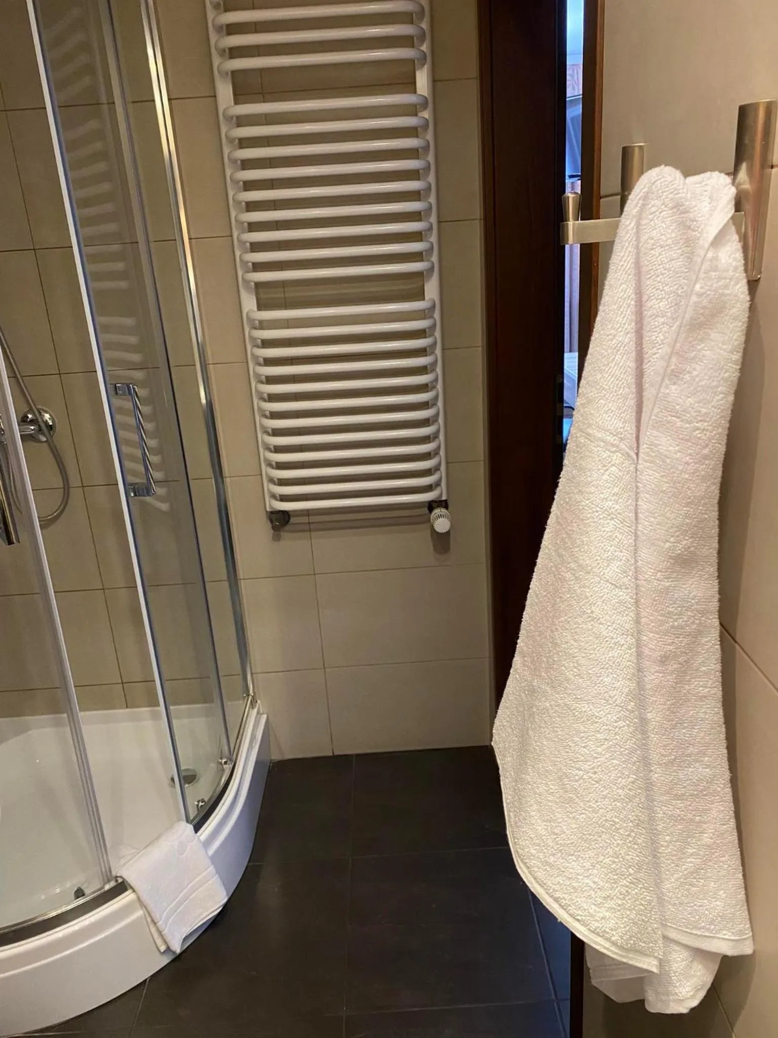 Shower in Hotel Alpex