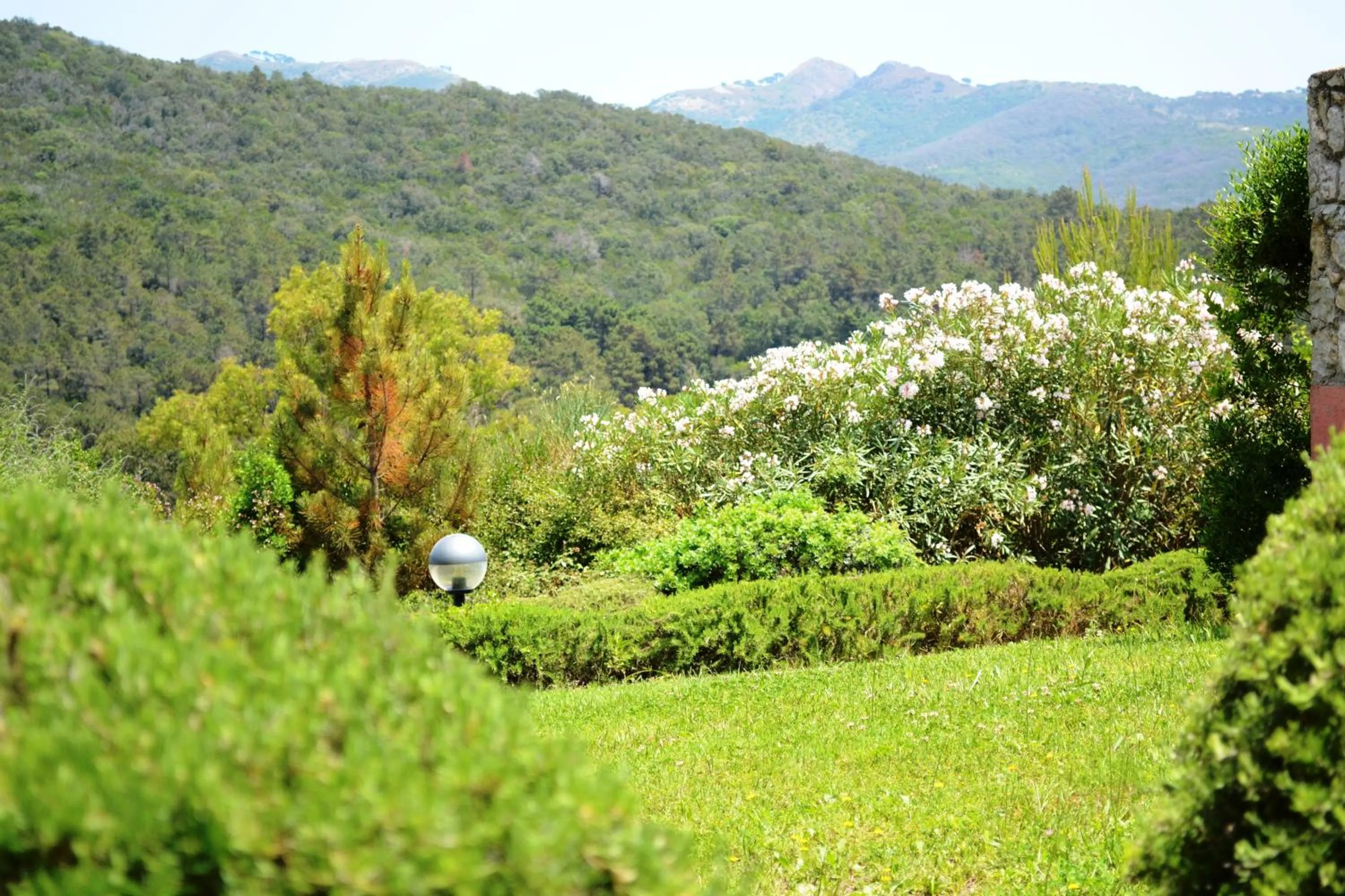 Natural landscape in Allegroitalia Elba Golf