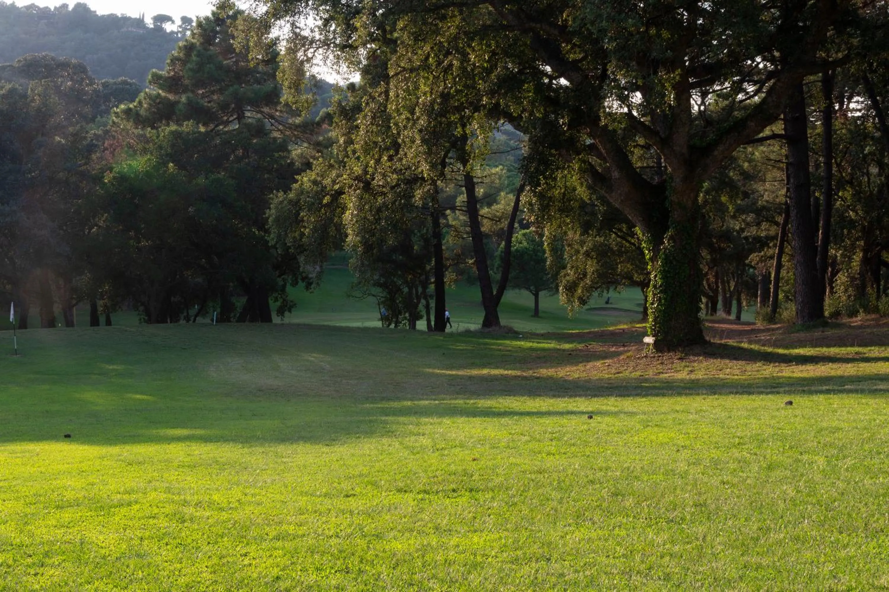 Natural landscape in Allegroitalia Elba Golf