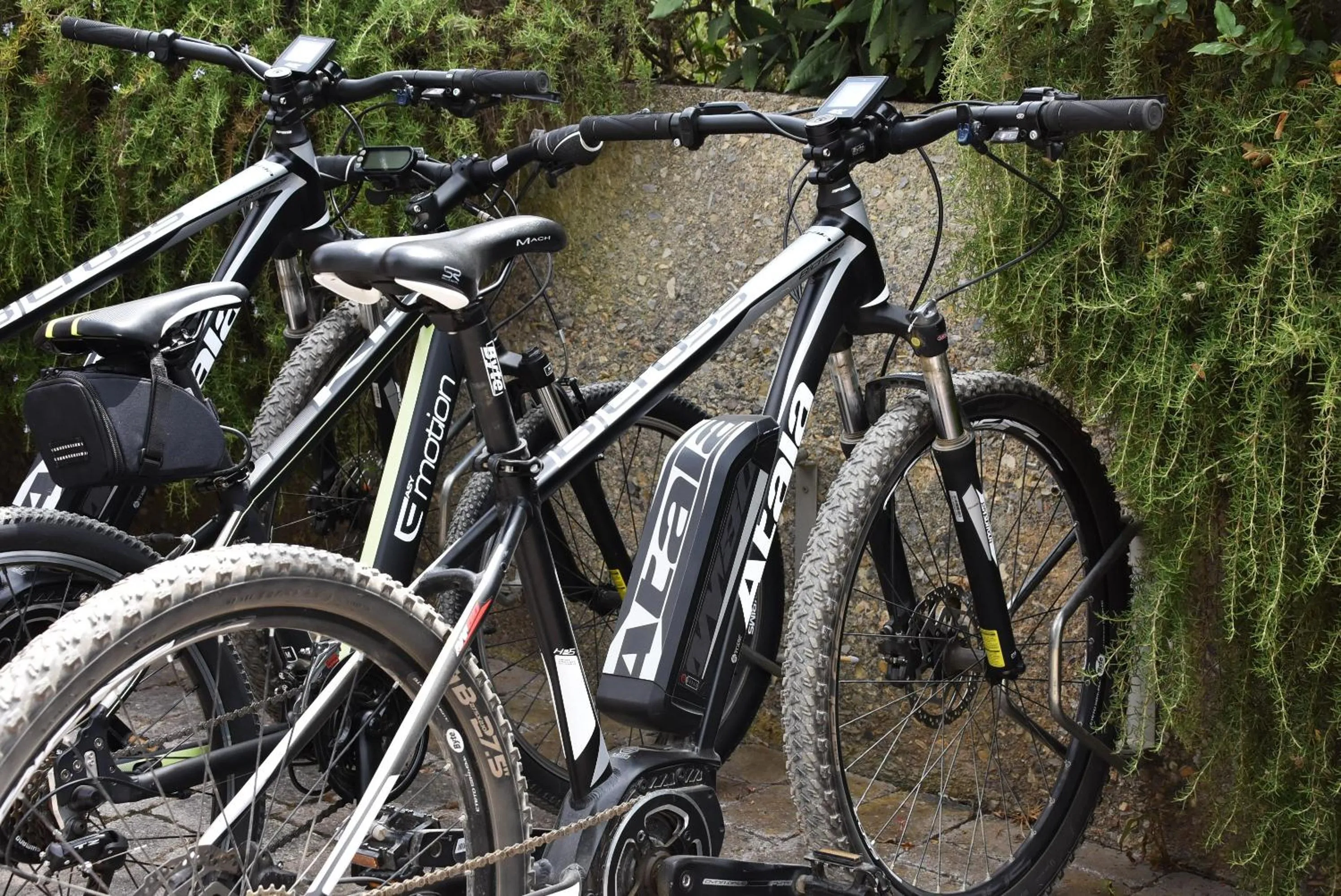 Cycling in Allegroitalia Elba Golf