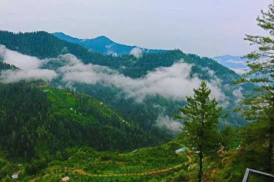 Mountain view in Tethys Himalaya Narkanda