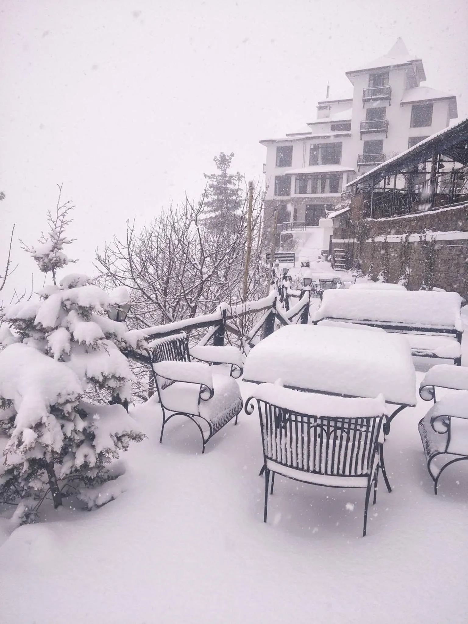 Property building in Tethys Himalaya Narkanda