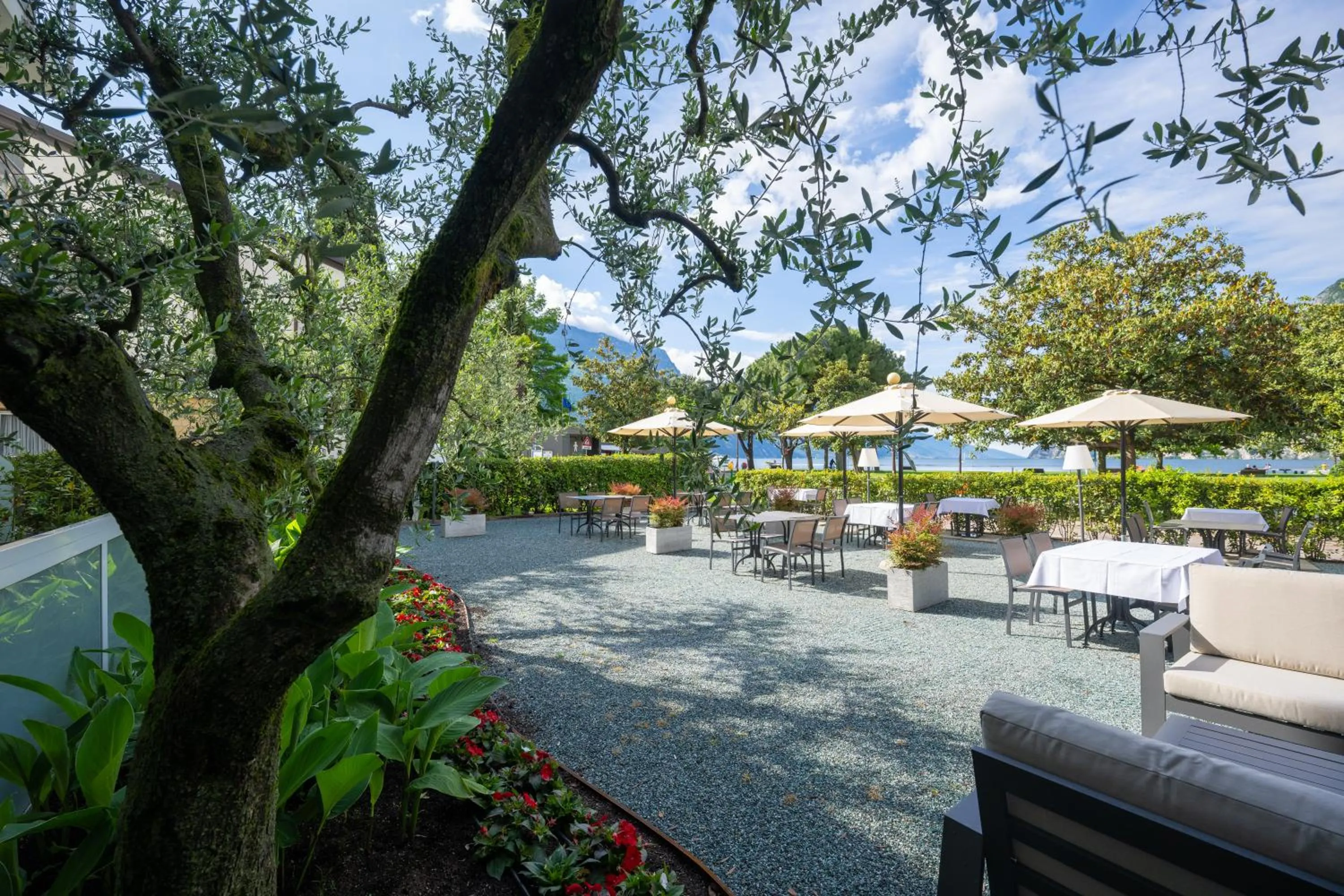 Garden in Hotel Bellariva