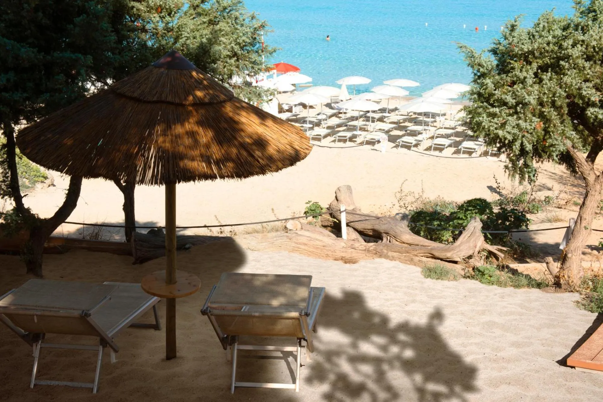 Natural landscape in Hotel Moresco