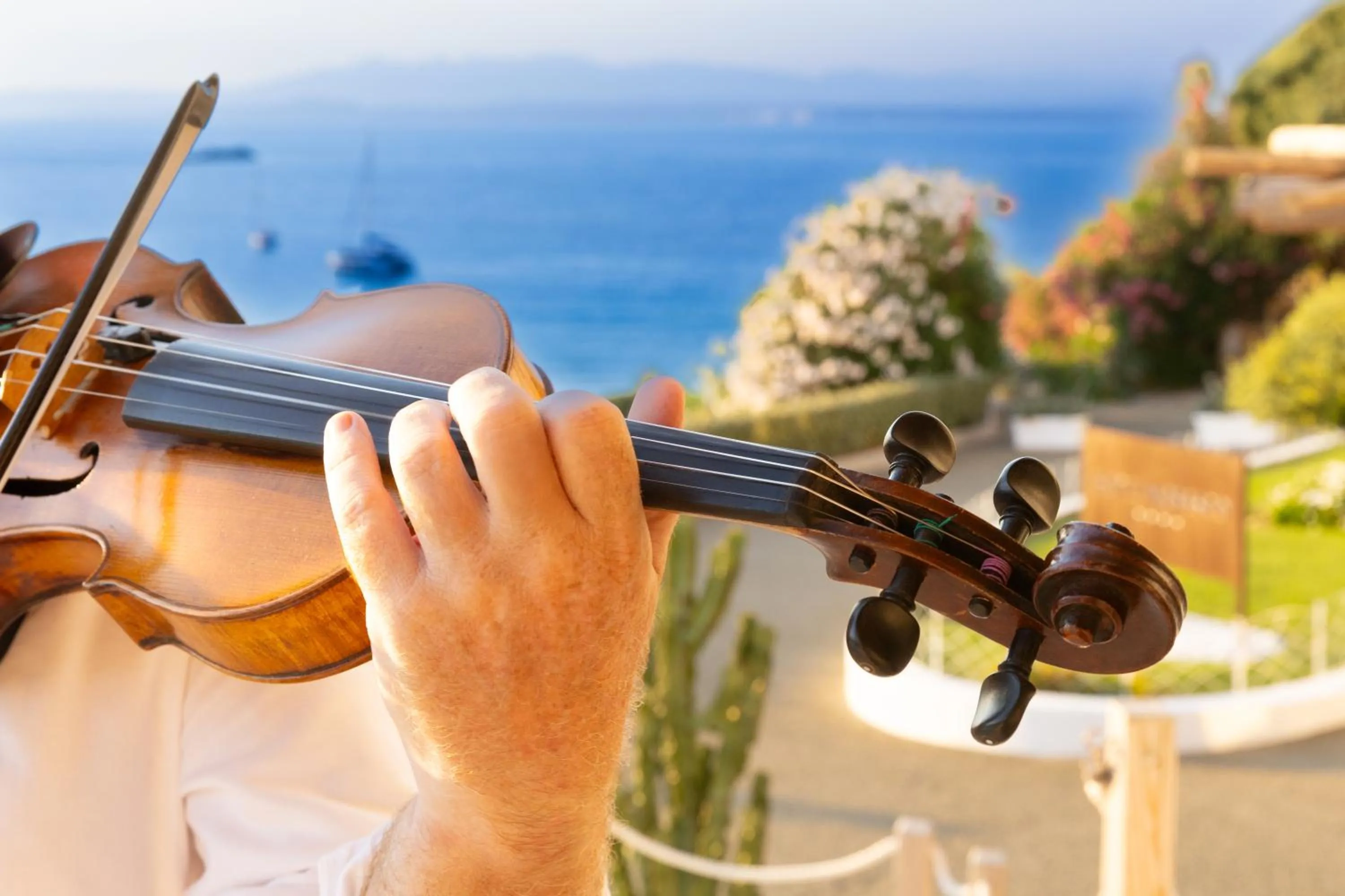 Restaurant/places to eat in Hotel Moresco