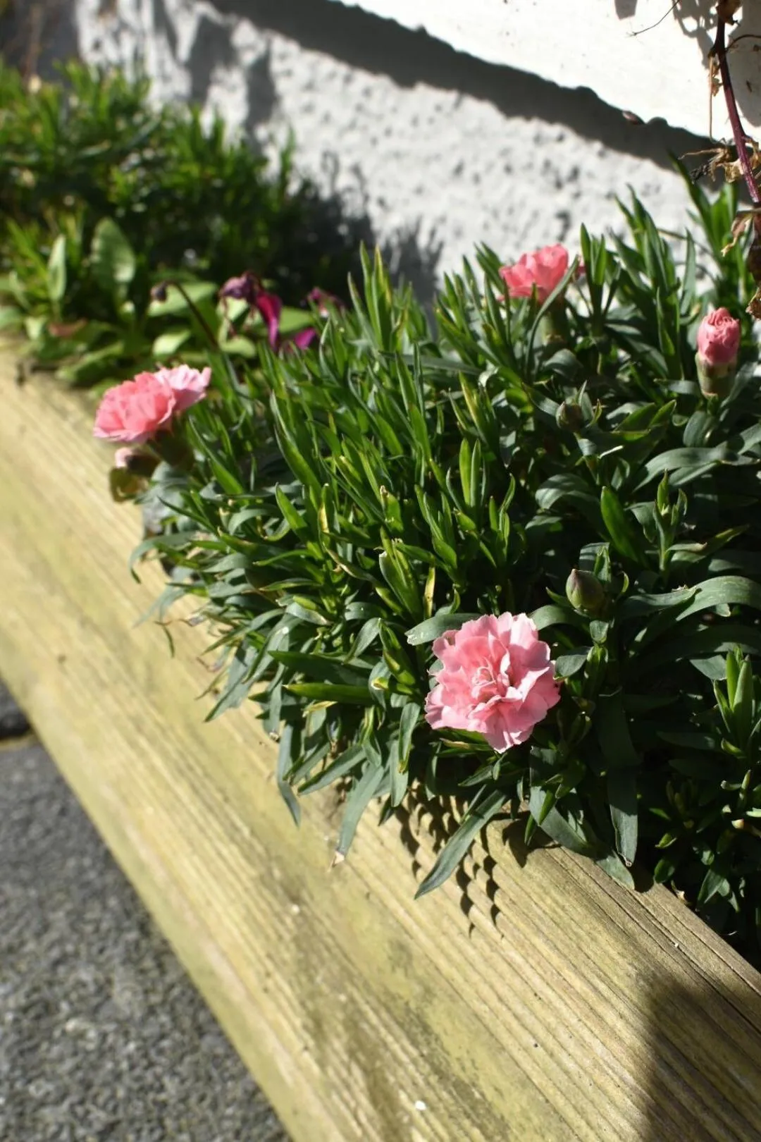 Property building in Eaton house
