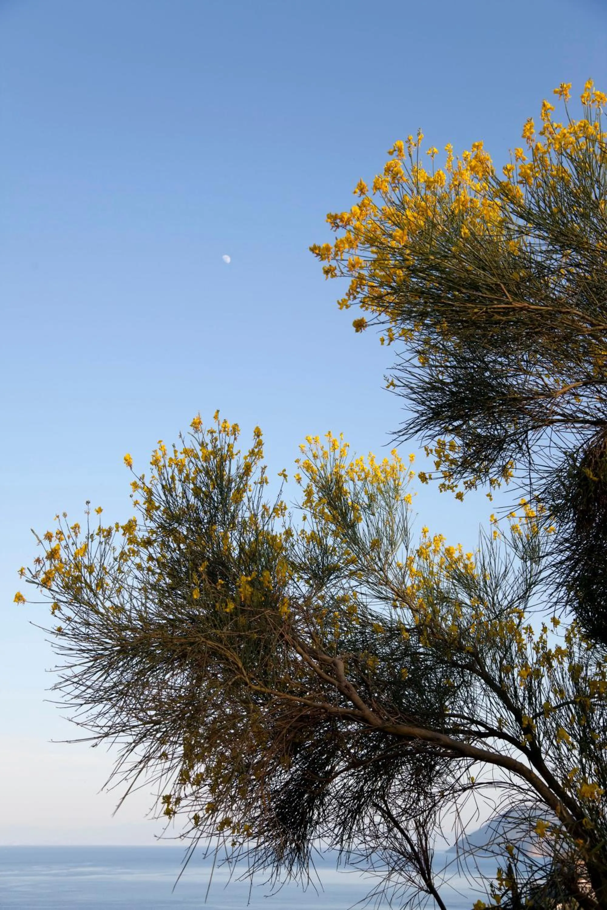 Day in Hotel Villa Enrica - Aeolian Charme