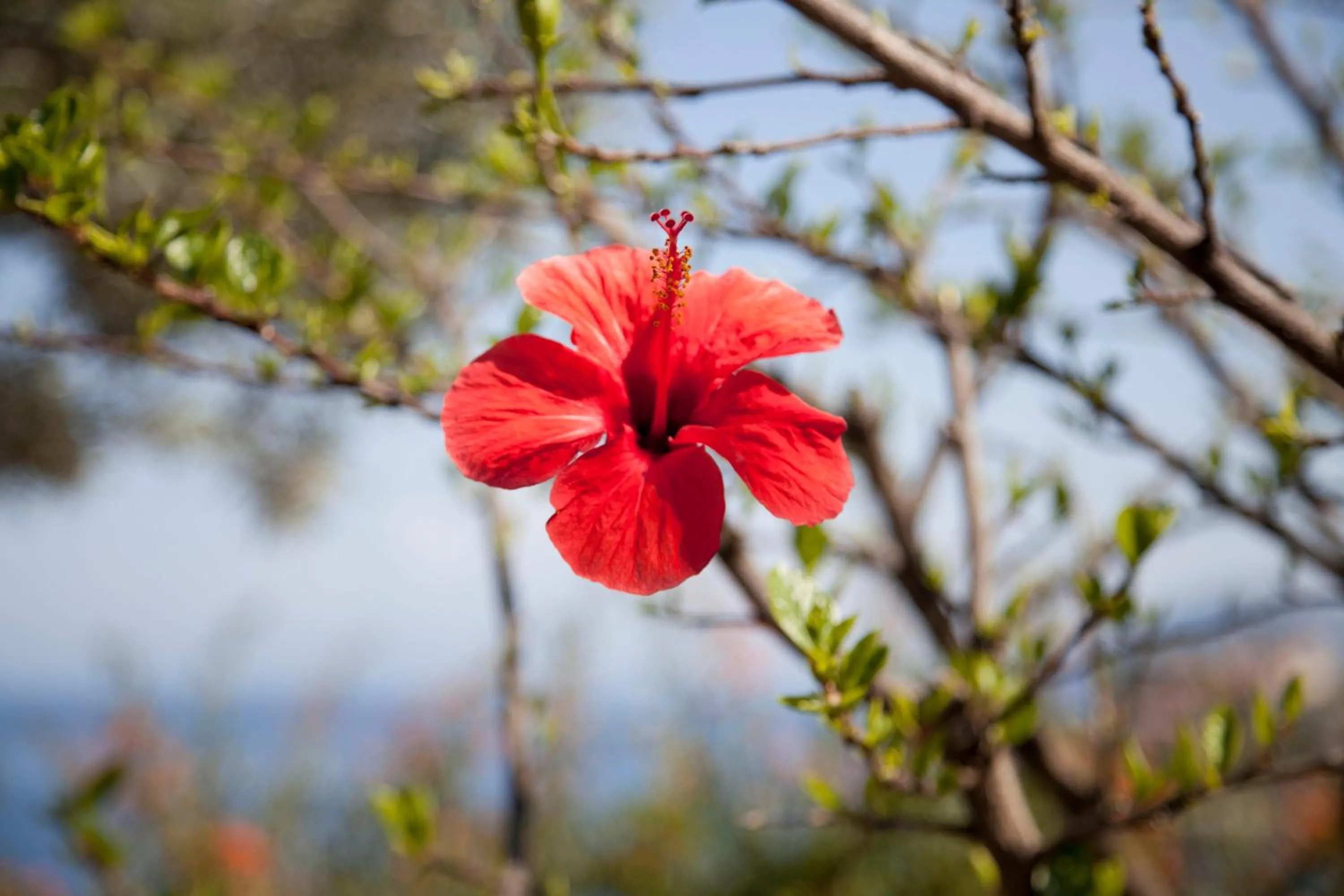 Day in Hotel Villa Enrica - Aeolian Charme