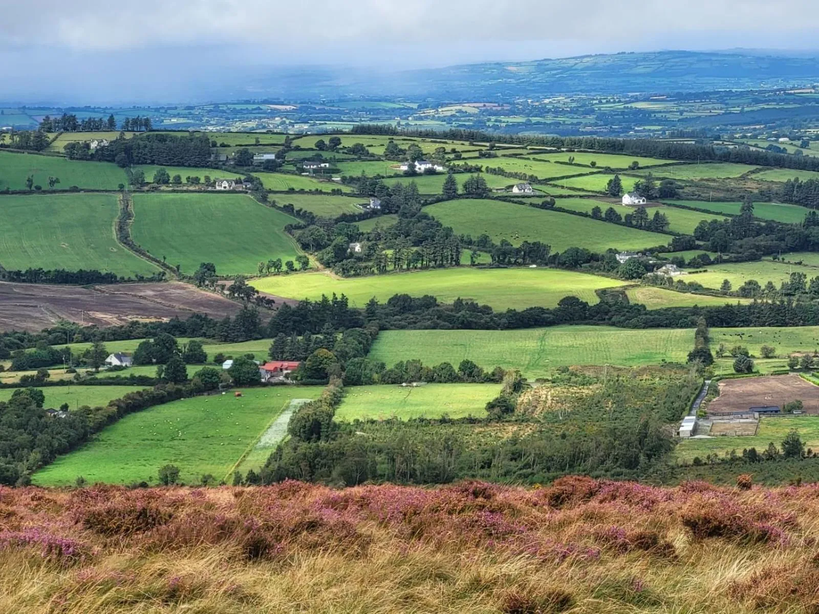 Nearby landmark in Mon Petit Cottage - B&B and Guest House in Bunclody