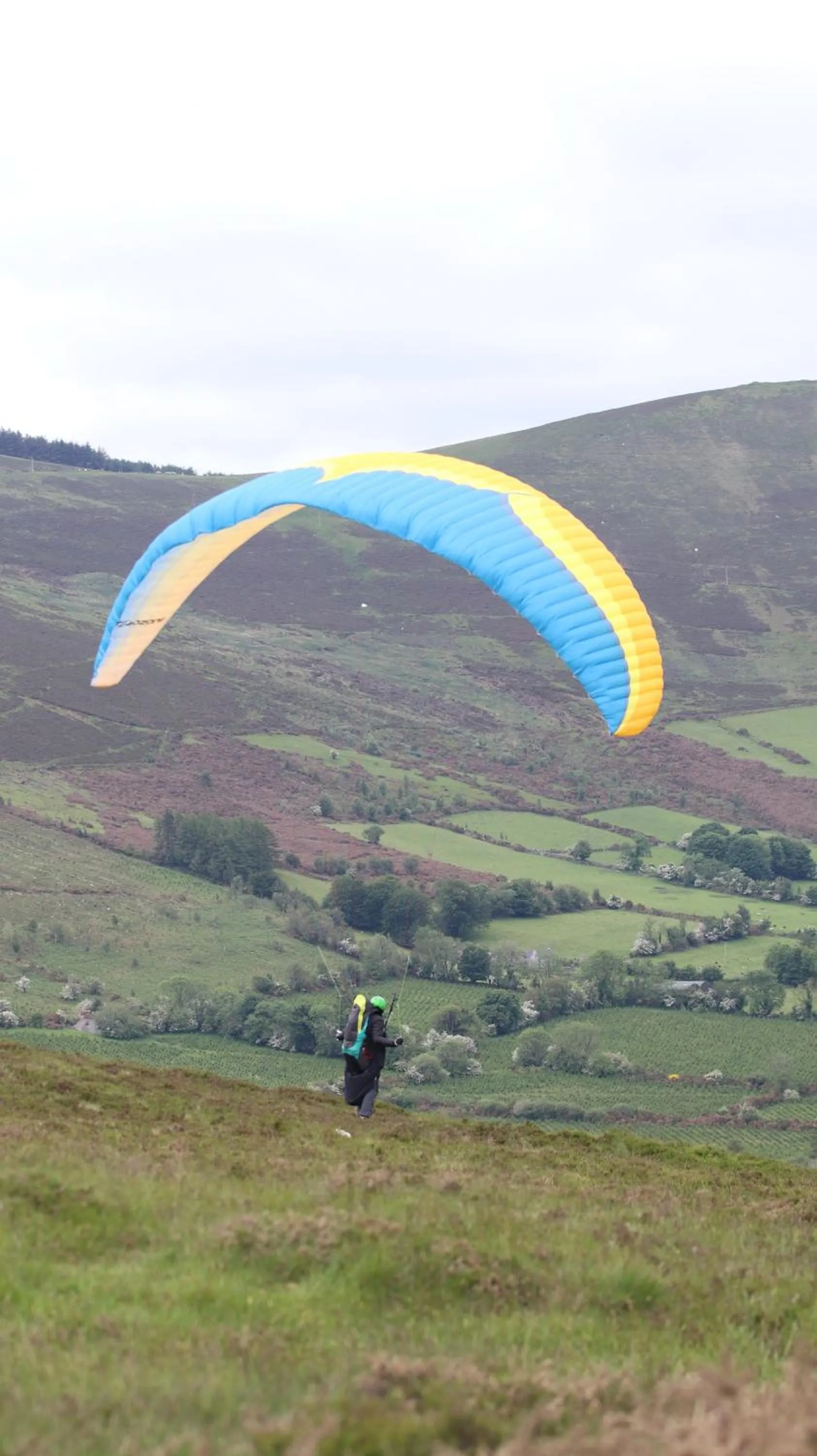 Activities in Mon Petit Cottage - B&B and Guest House in Bunclody