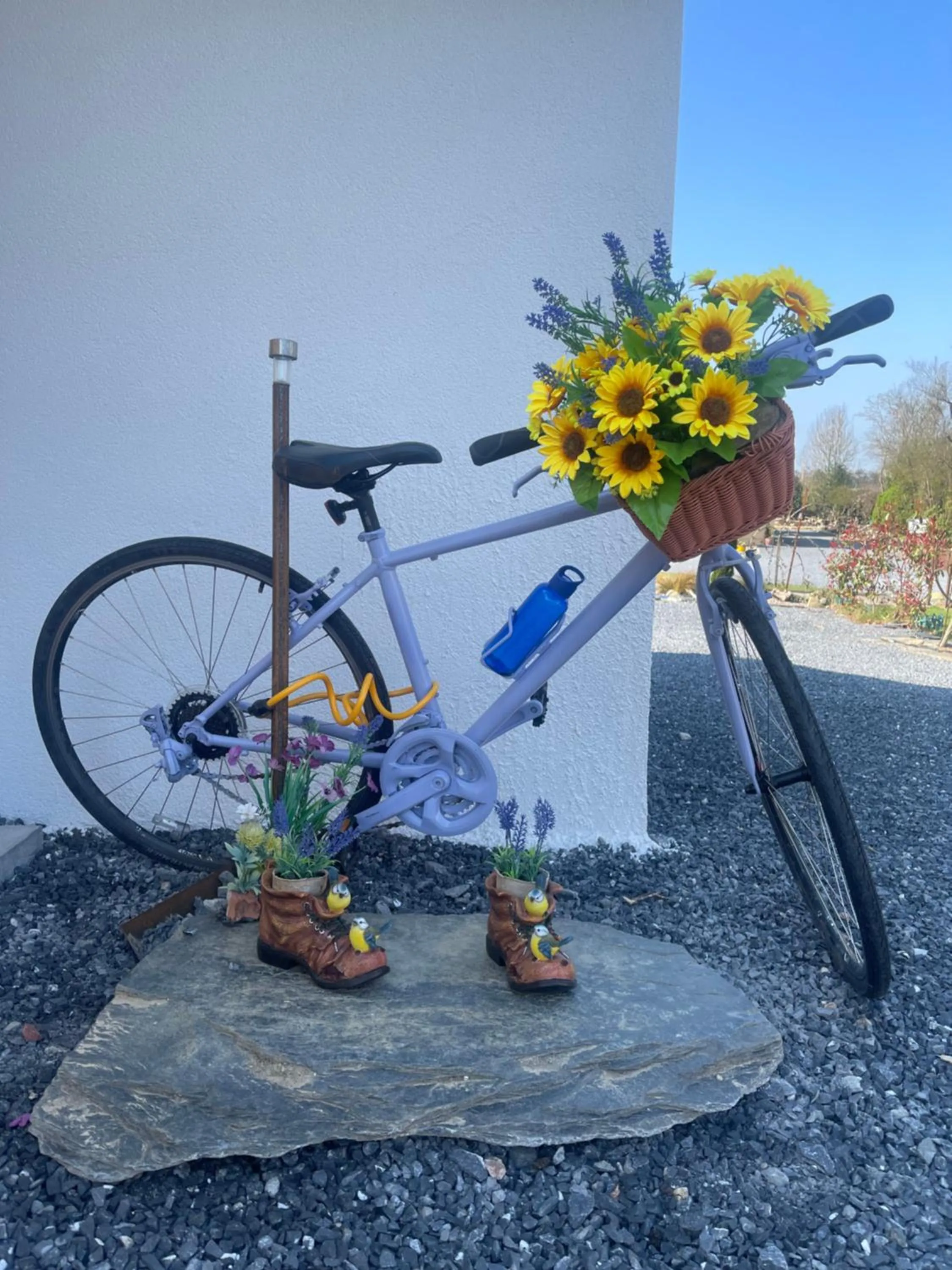 Property building in Mon Petit Cottage - B&B and Guest House in Bunclody