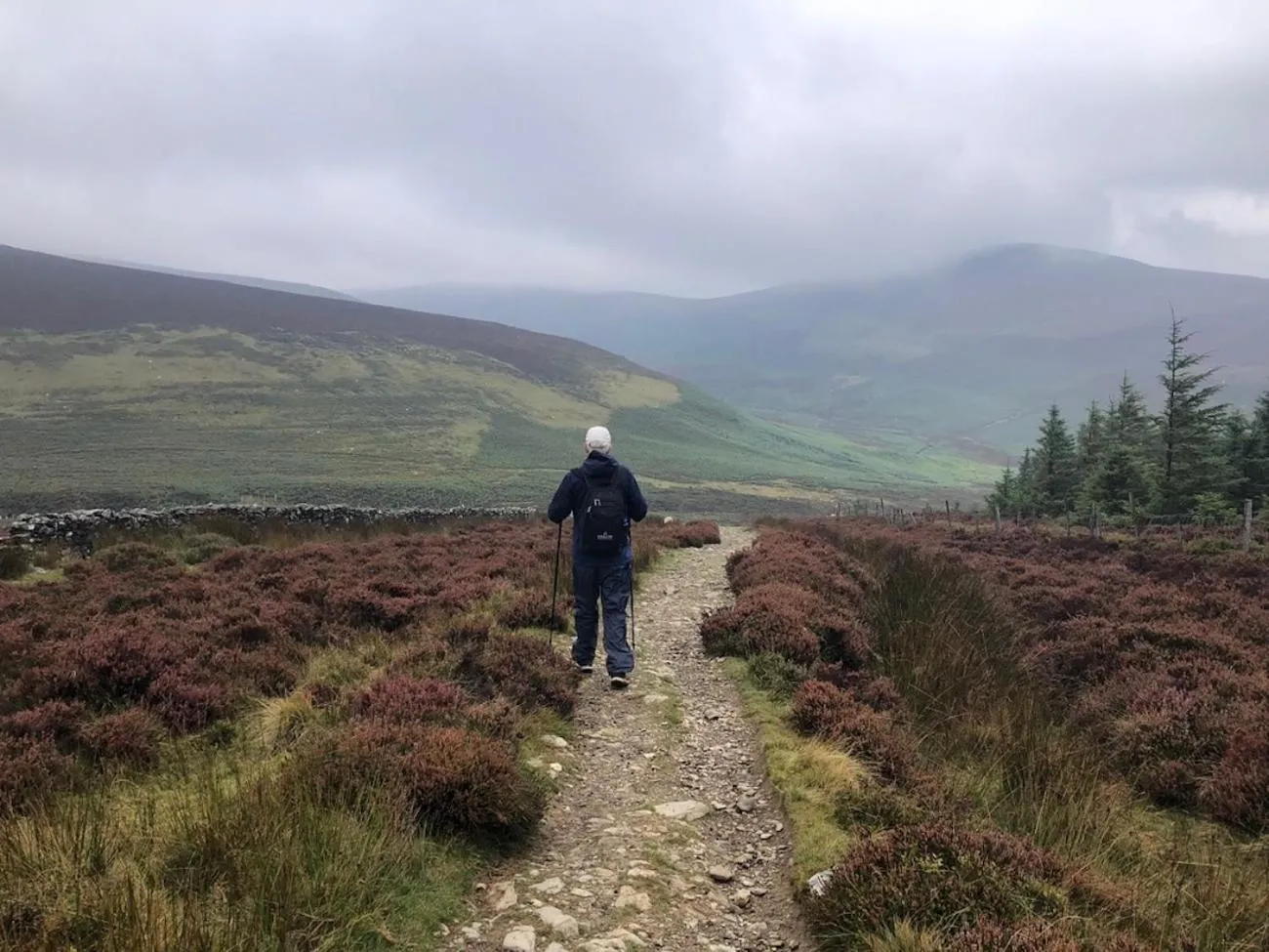 Bird's eye view in Mon Petit Cottage - B&B and Guest House in Bunclody